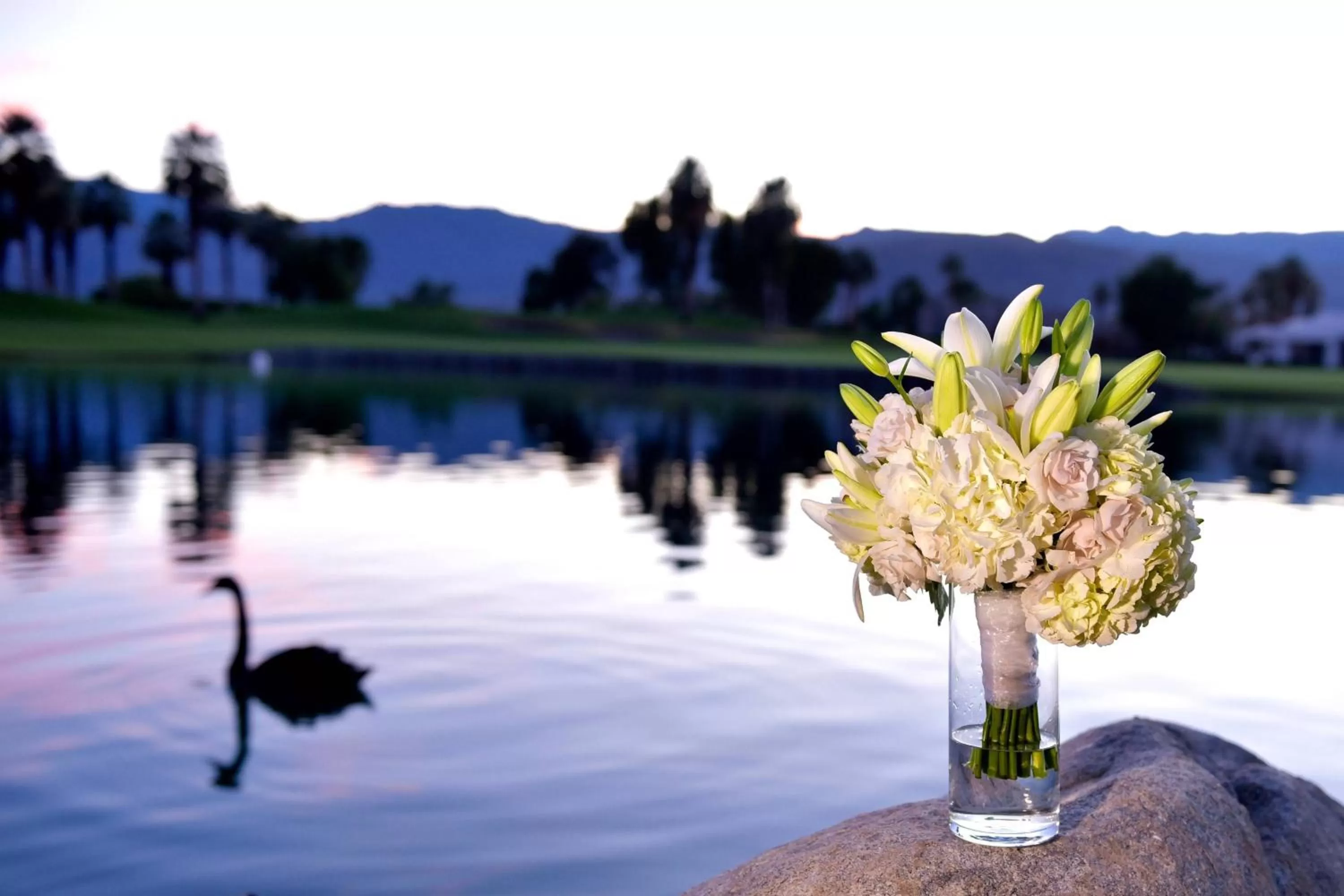 Banquet/Function facilities in JW Marriott Desert Springs Resort & Spa