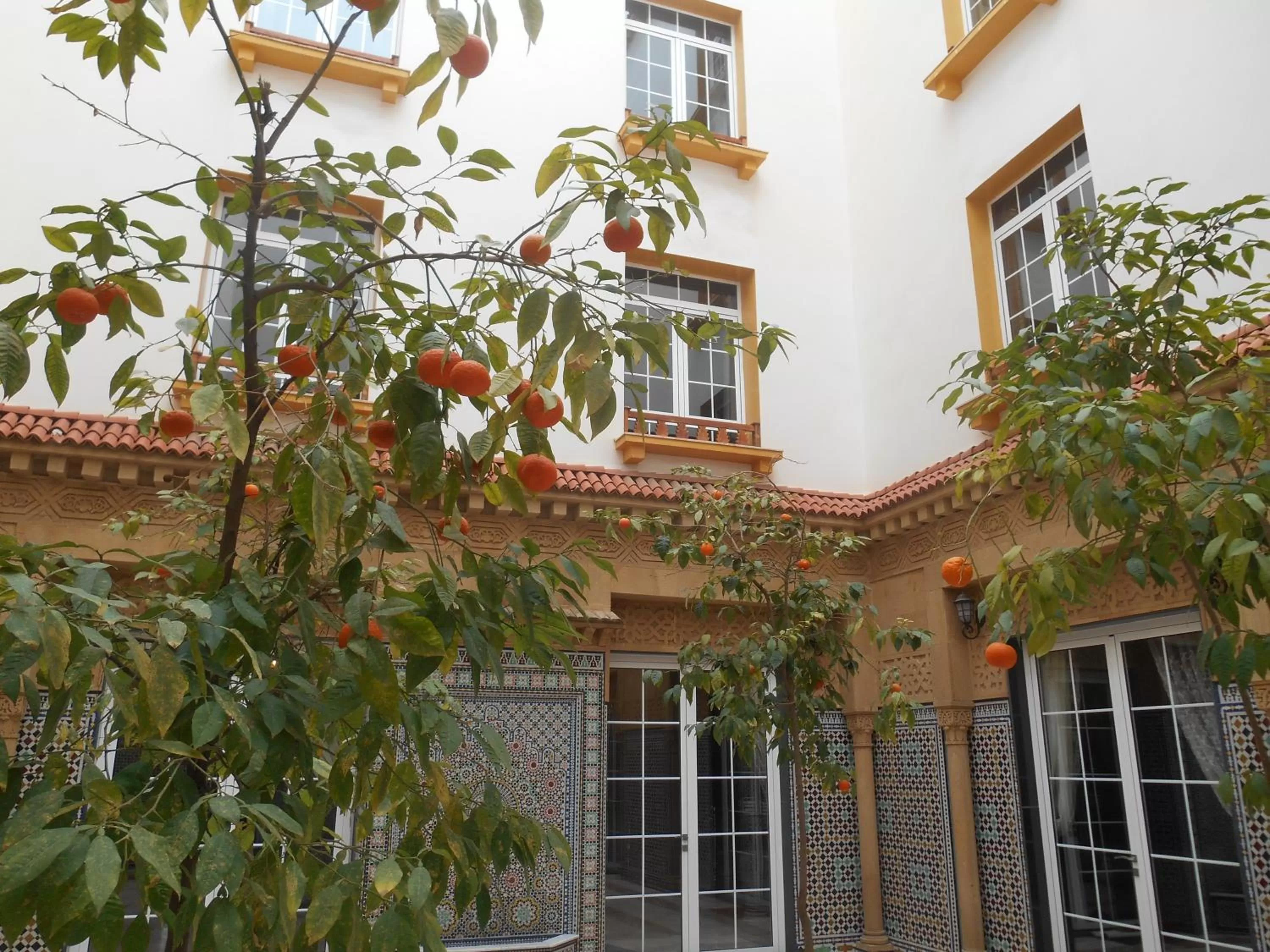 Property Building in Dar Nador