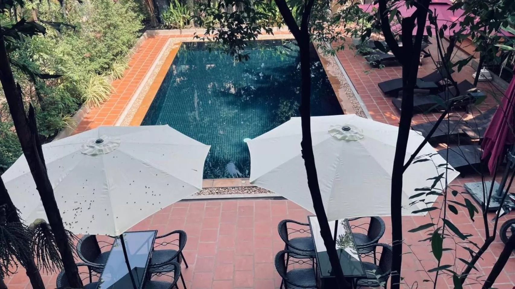 Swimming pool, Pool View in Angkor Tiger Resort