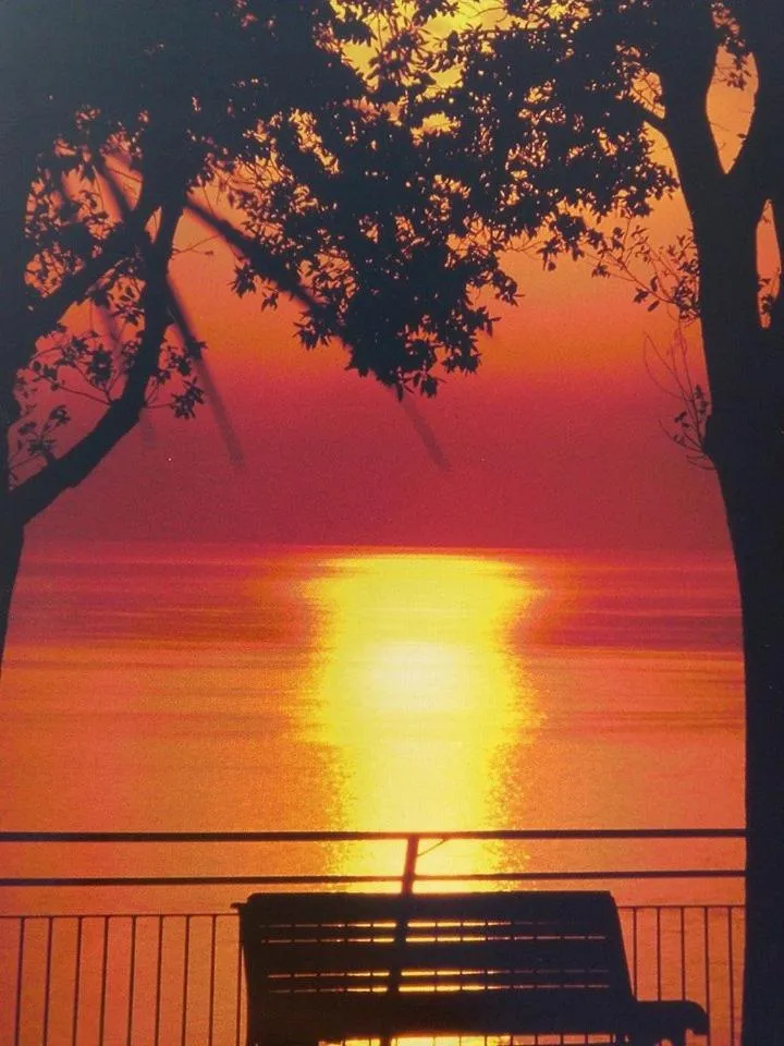 Neighbourhood in Hotel "Il Parco" B&B Sirolo