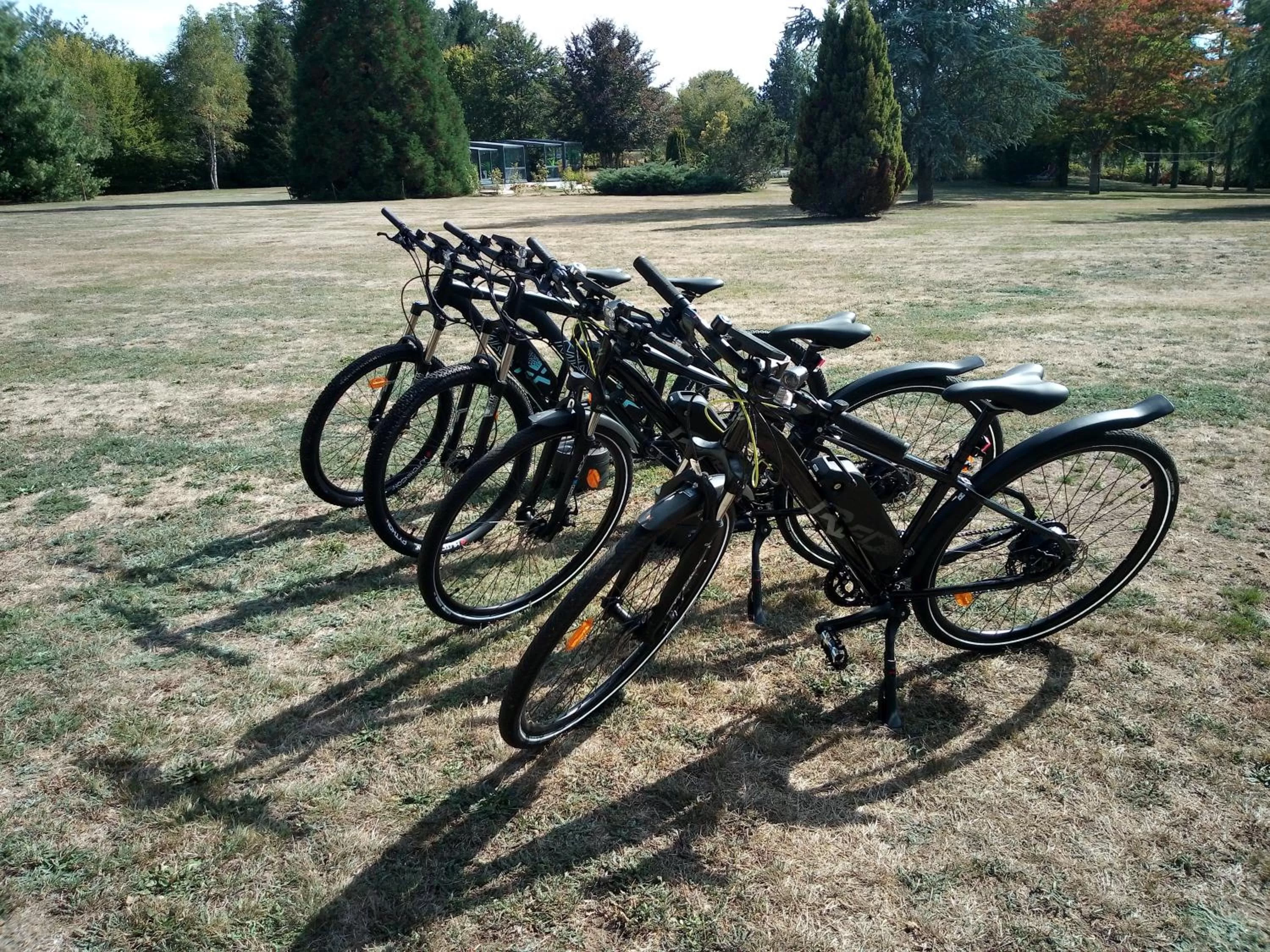 Activities in A l'Orée du Parc