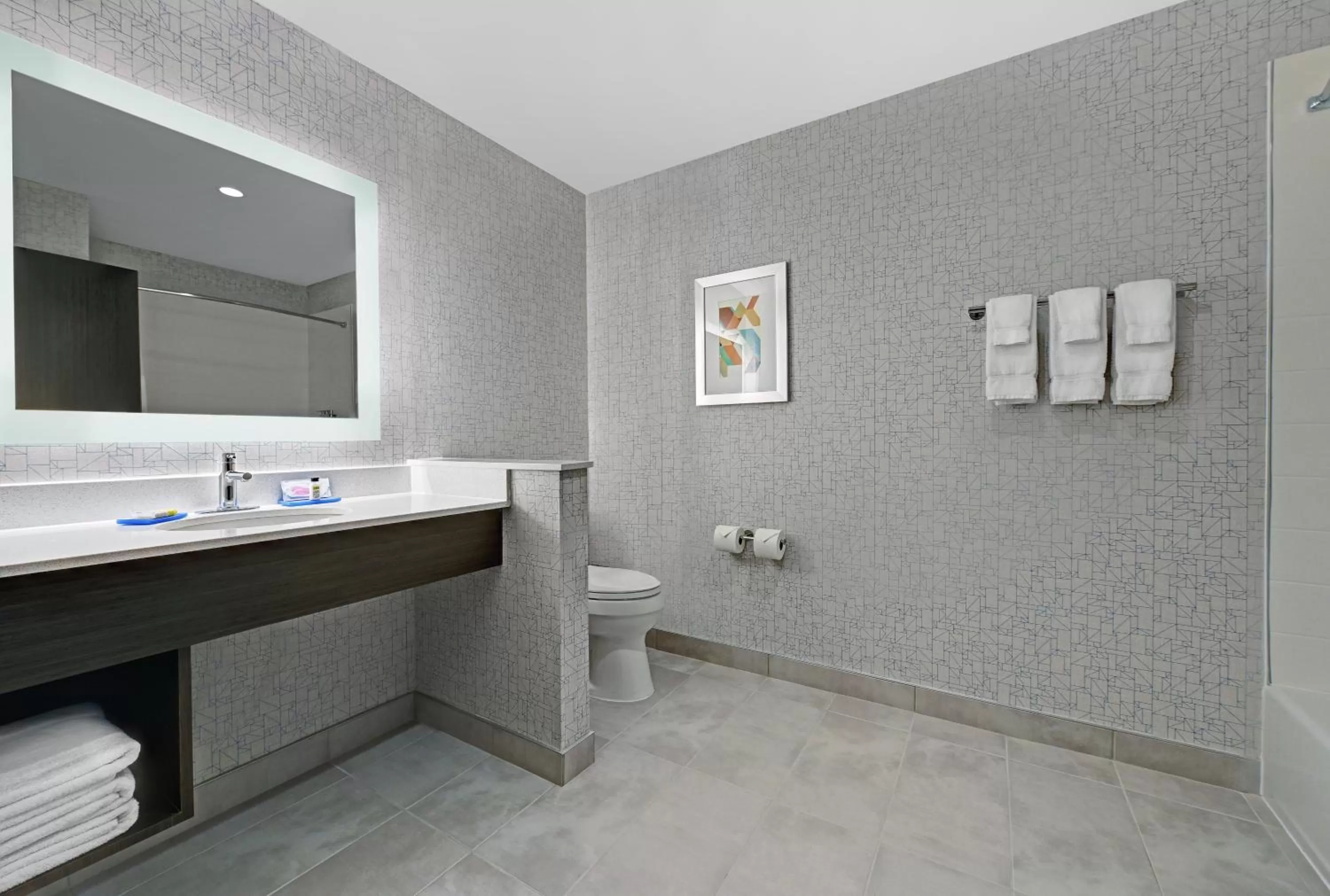 Bathroom in Holiday Inn Express & Suites Memorial – CityCentre by IHG