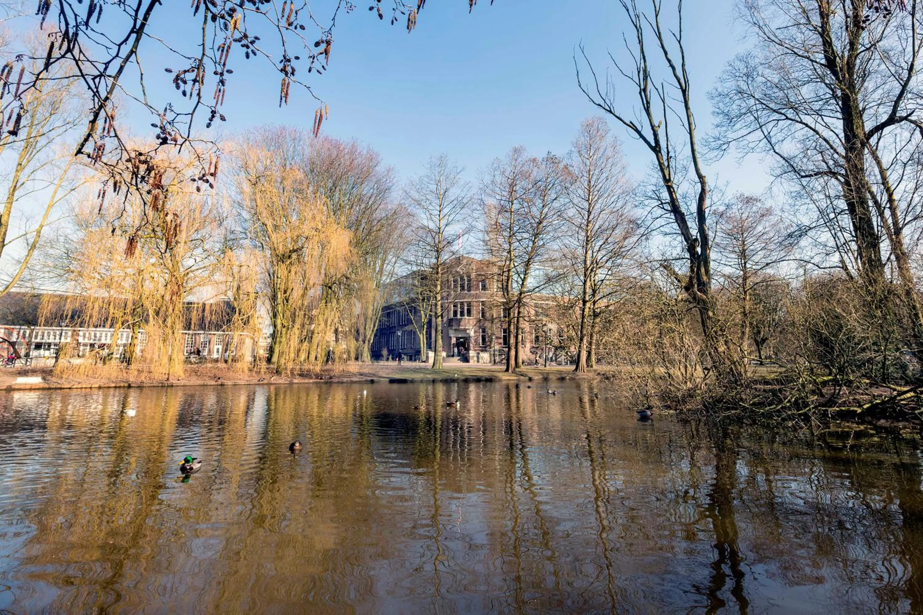 Facade/entrance in Generator Amsterdam