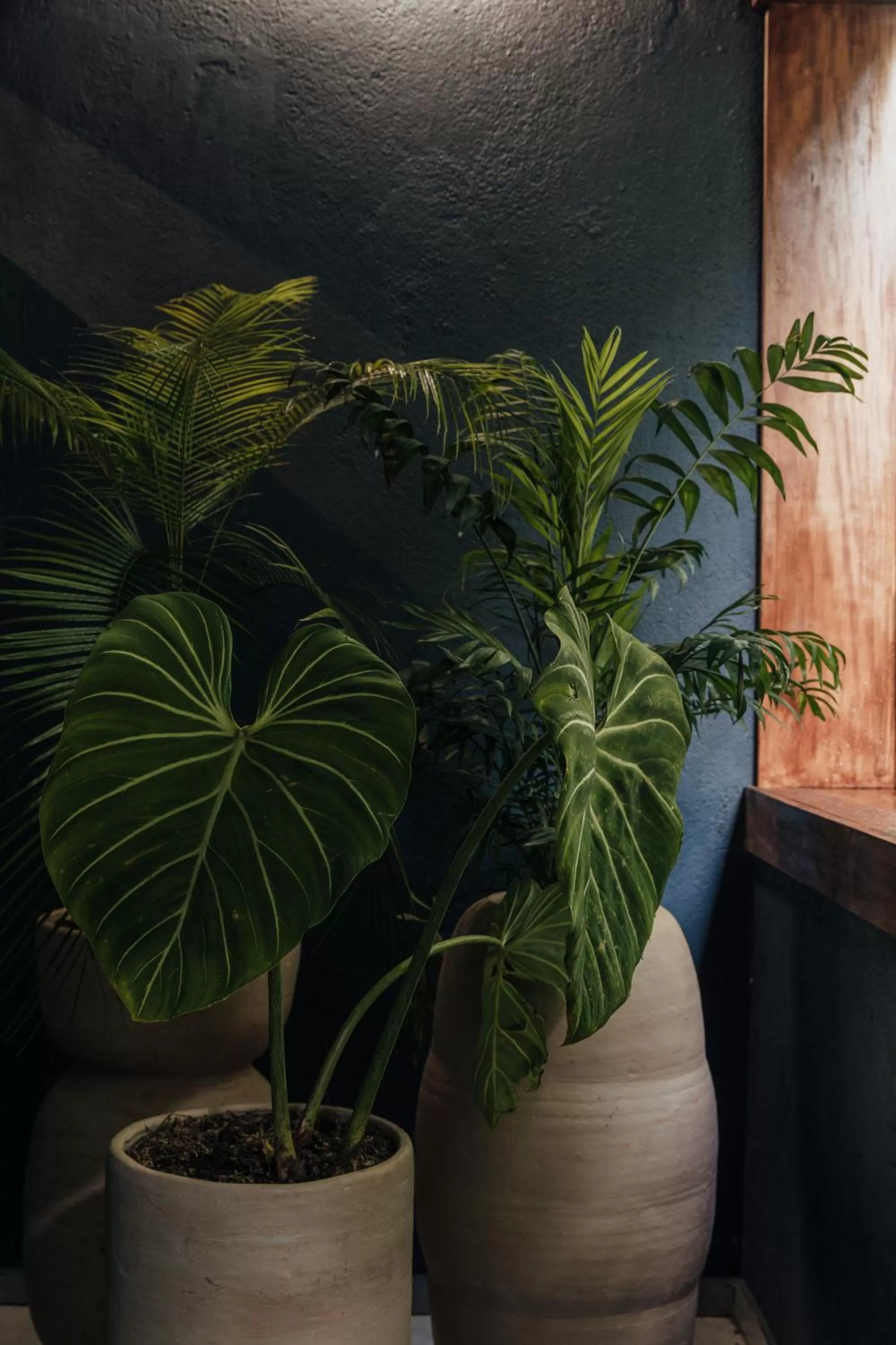 Balcony/Terrace in Sui Posada Boutique