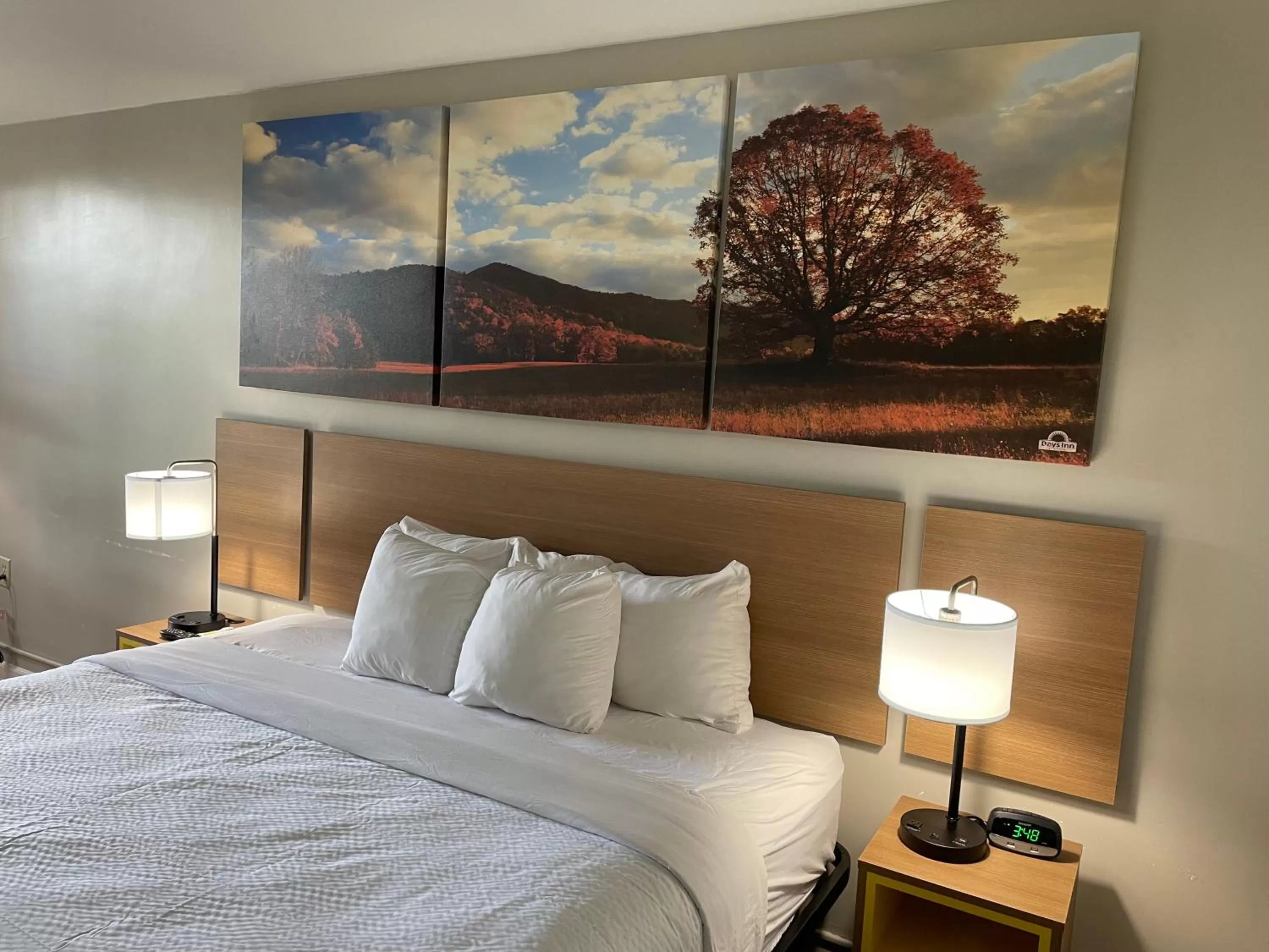 Bed in Days Inn by Wyndham Valdosta/Near Valdosta Mall