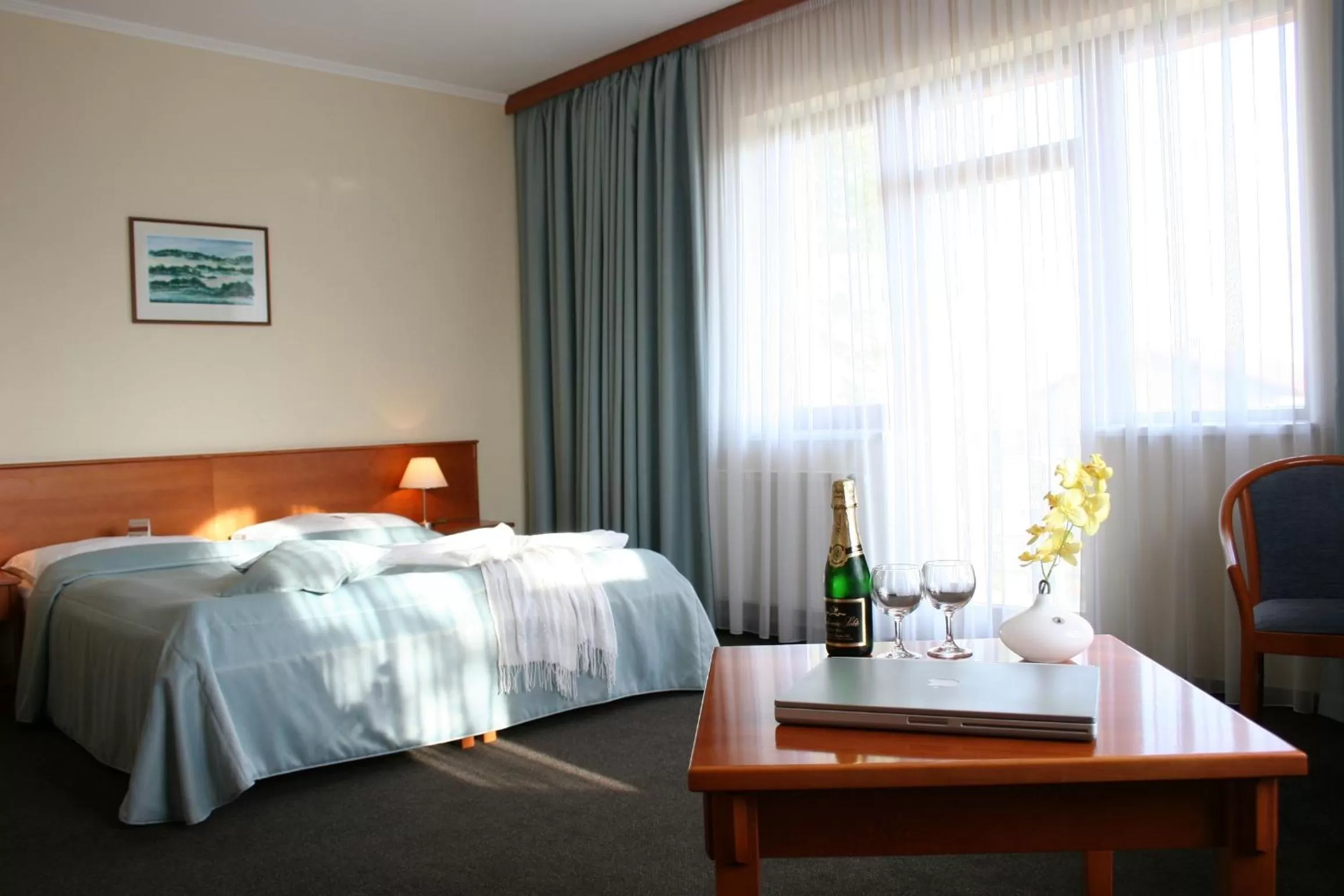 Double or Twin Room - single occupancy in April hotel Panorama