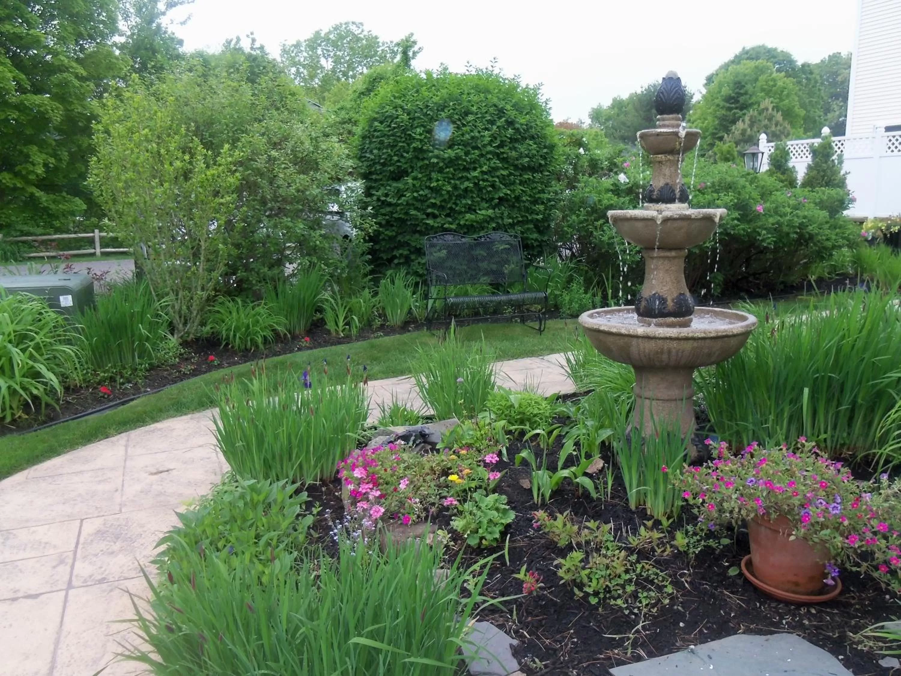 Garden in Holiday Guest House Bed & Breakfast