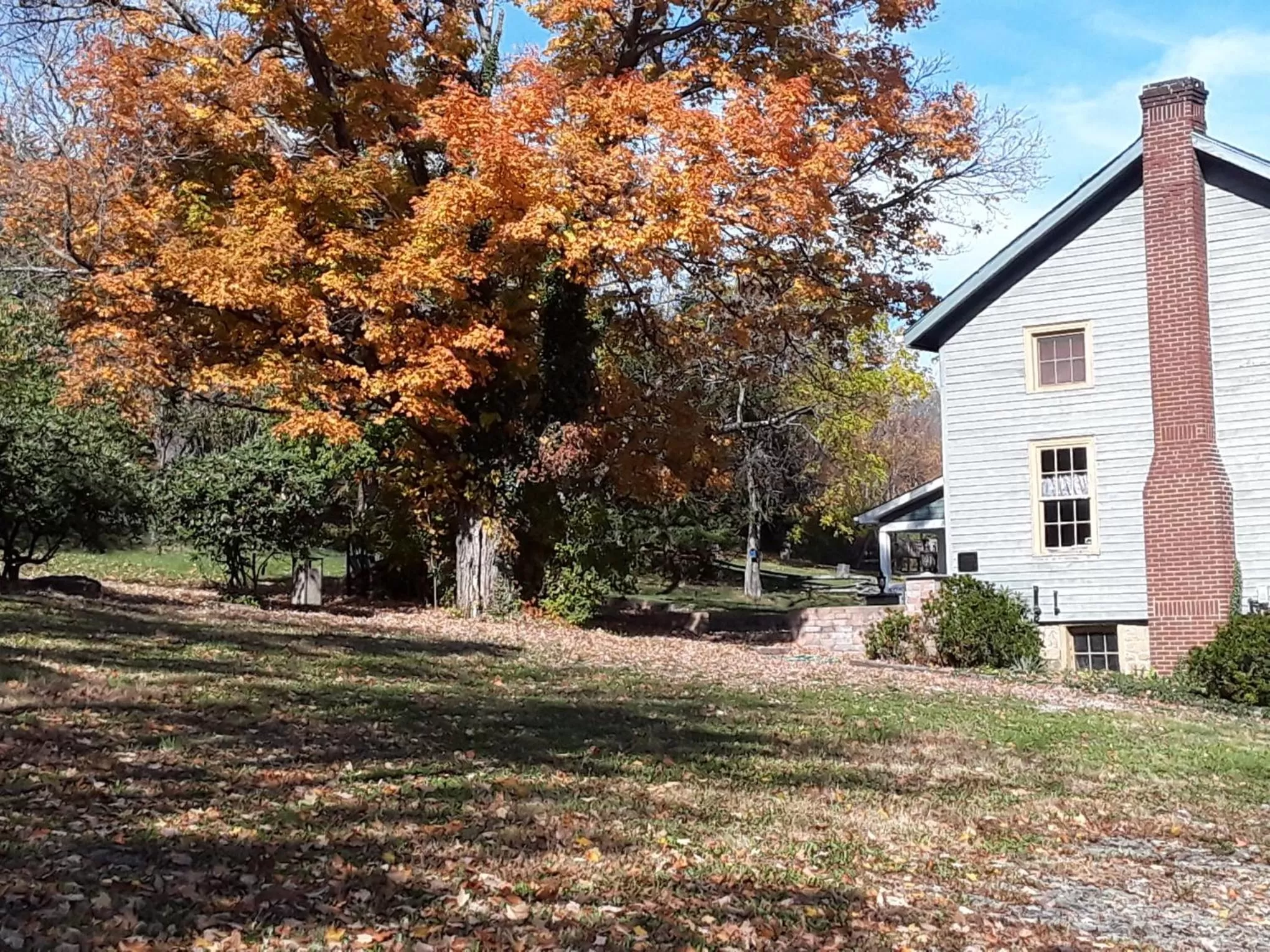 Garden in Baneberry Meadows B&B