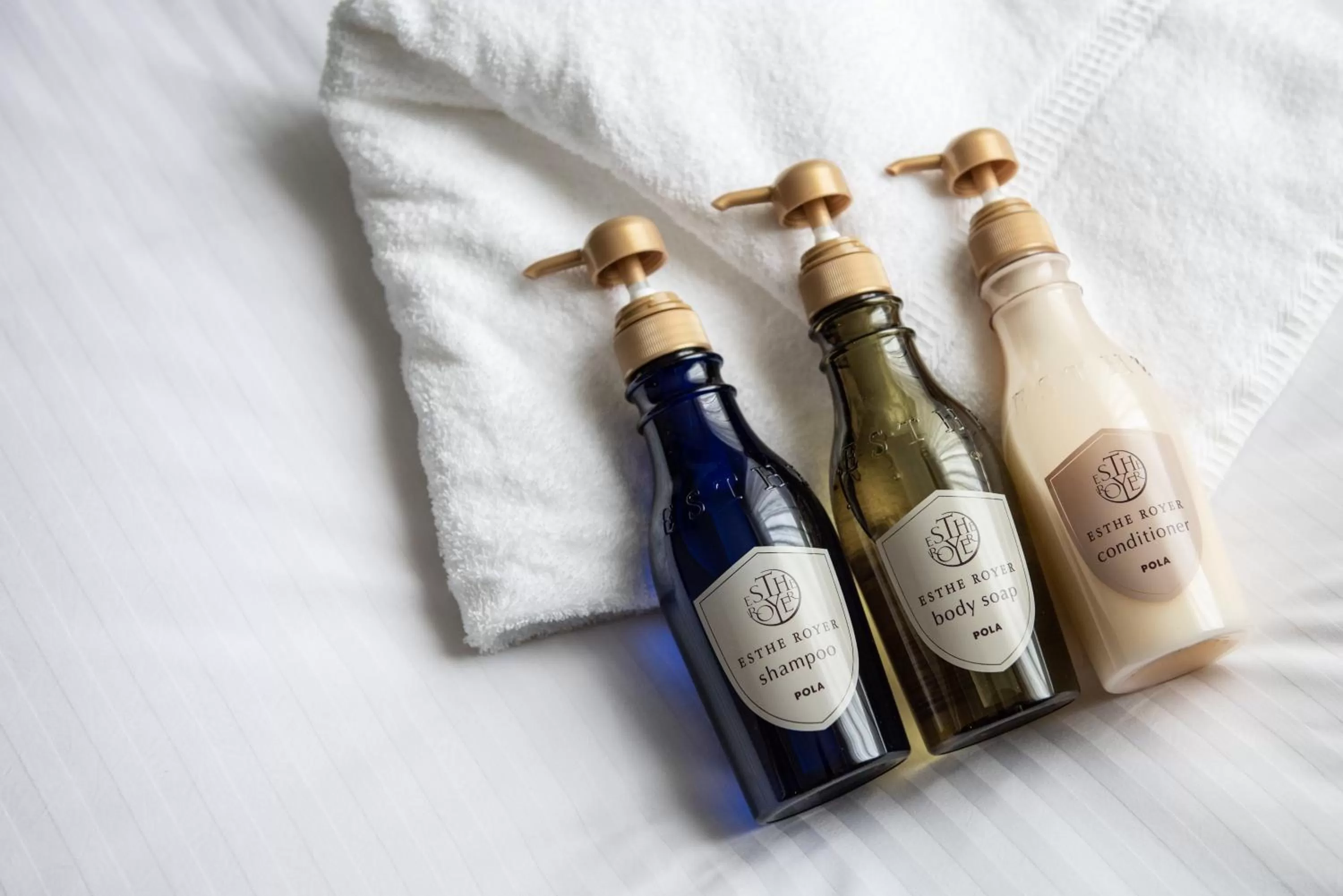 Photo of the whole room in Hotel Vista Matsuyama