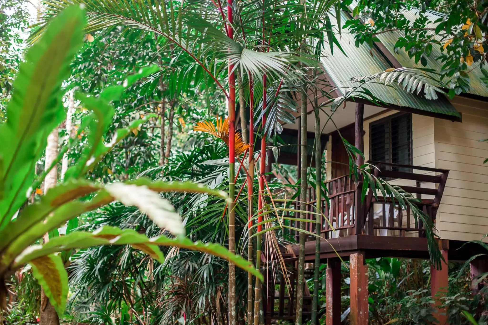 Property building in The Vatika Resort and Spa