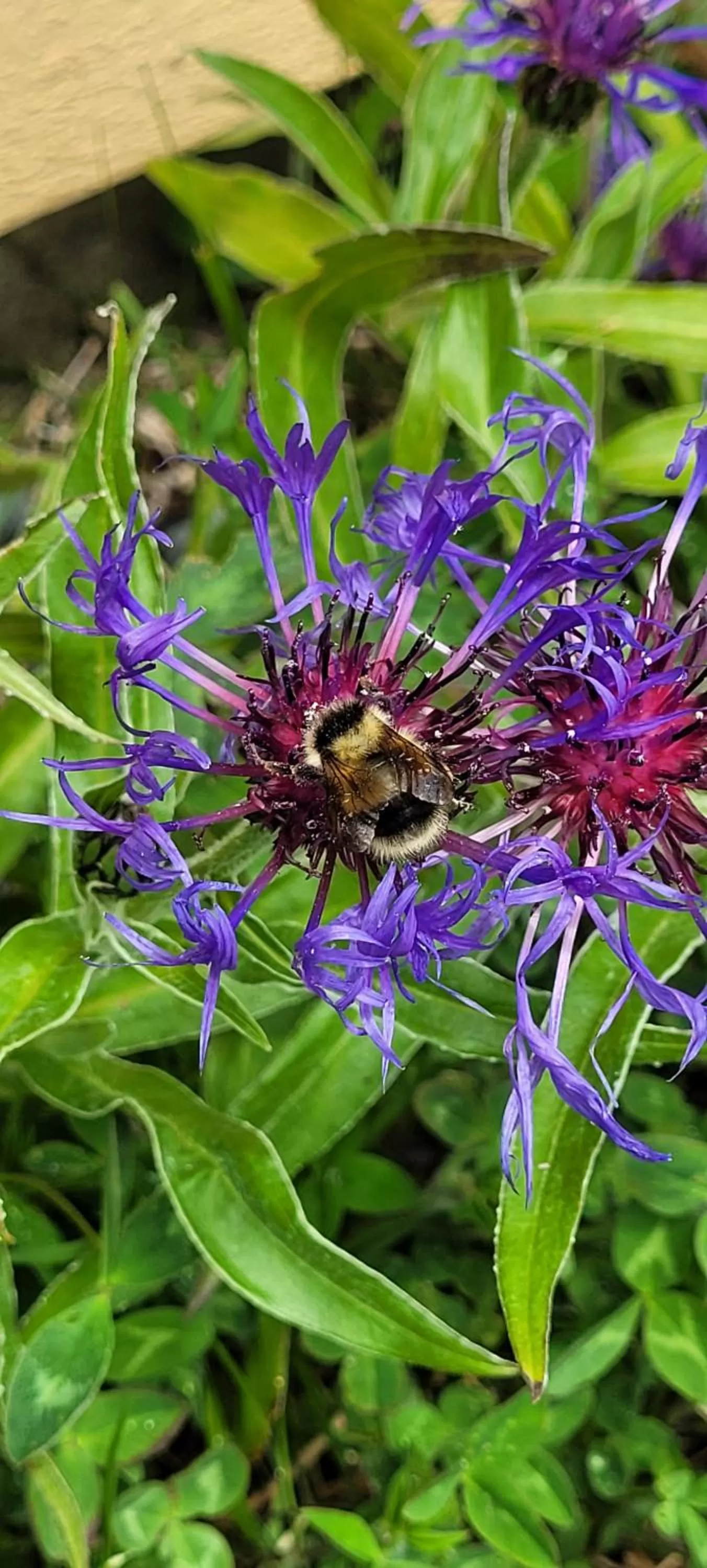 Natural landscape in The Harbourside Inn