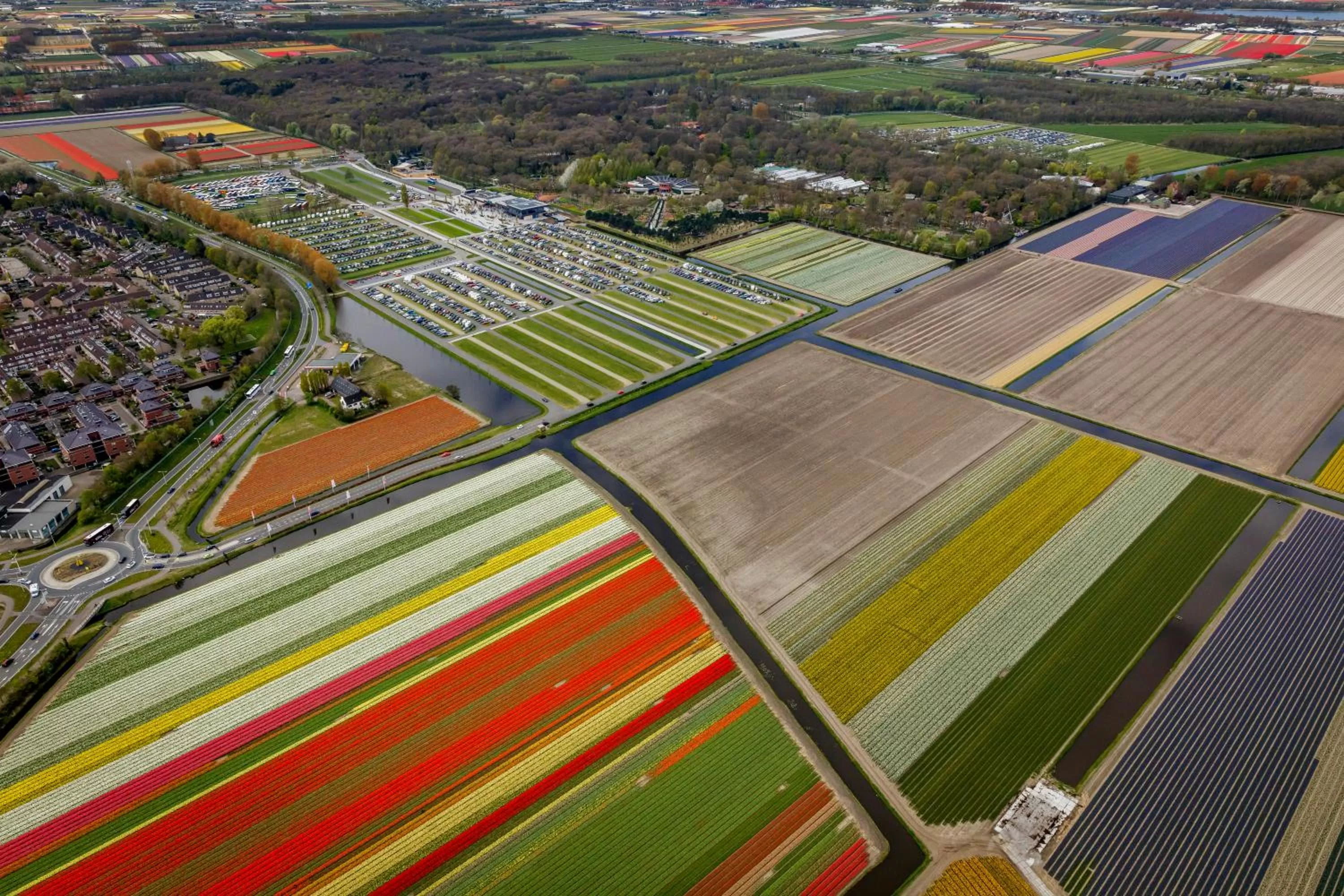 Natural landscape in ibis Styles Haarlem City