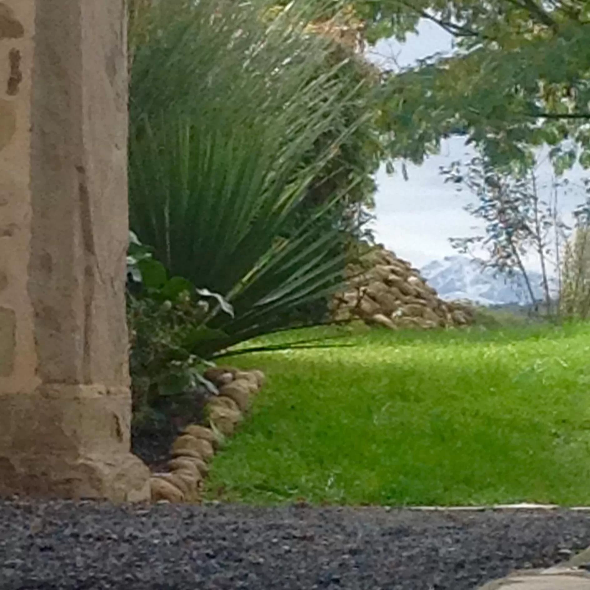 Mountain view in B&B Au Moulin 1771