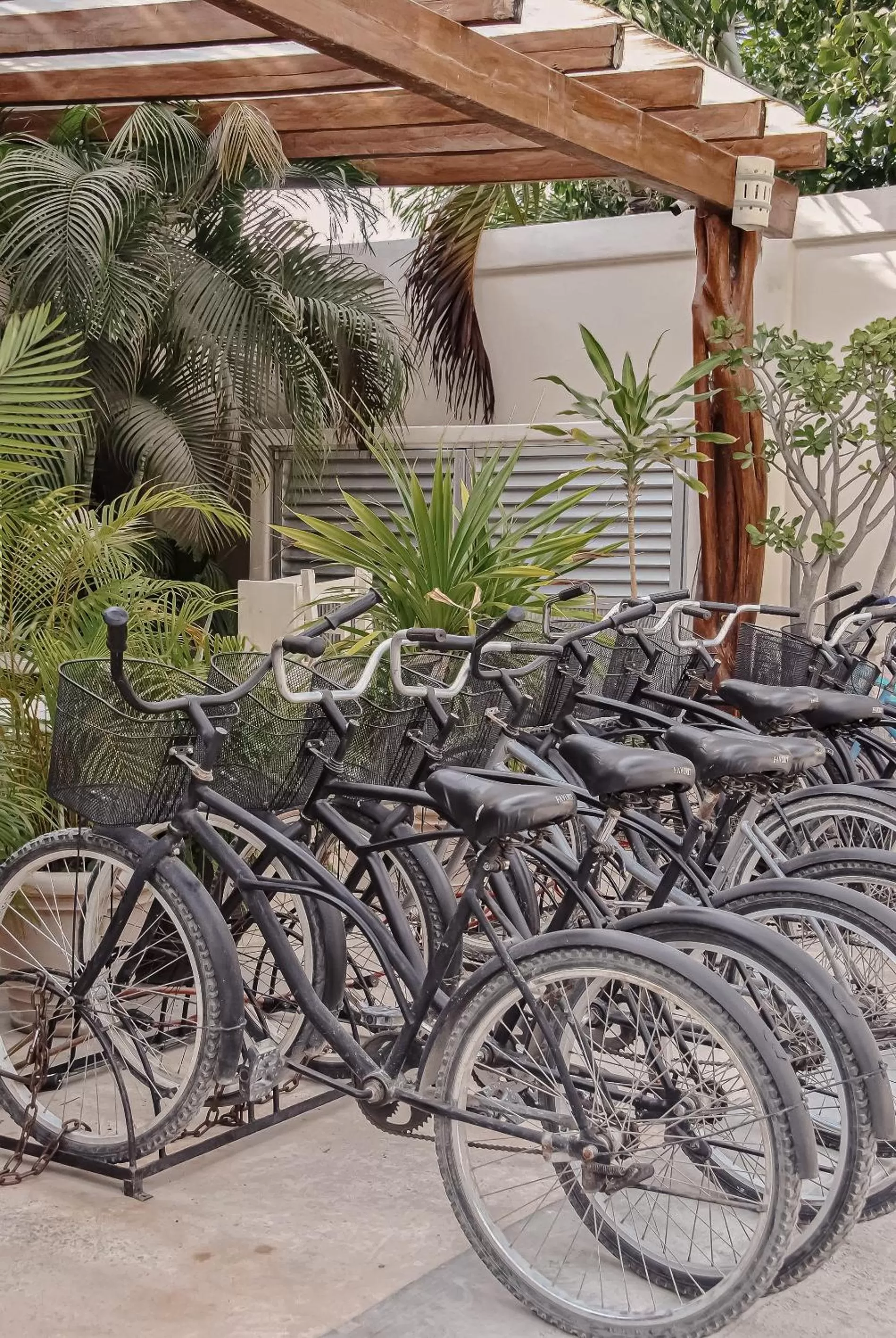 Hiking in Boutique Hotel Posada 06 Tulum