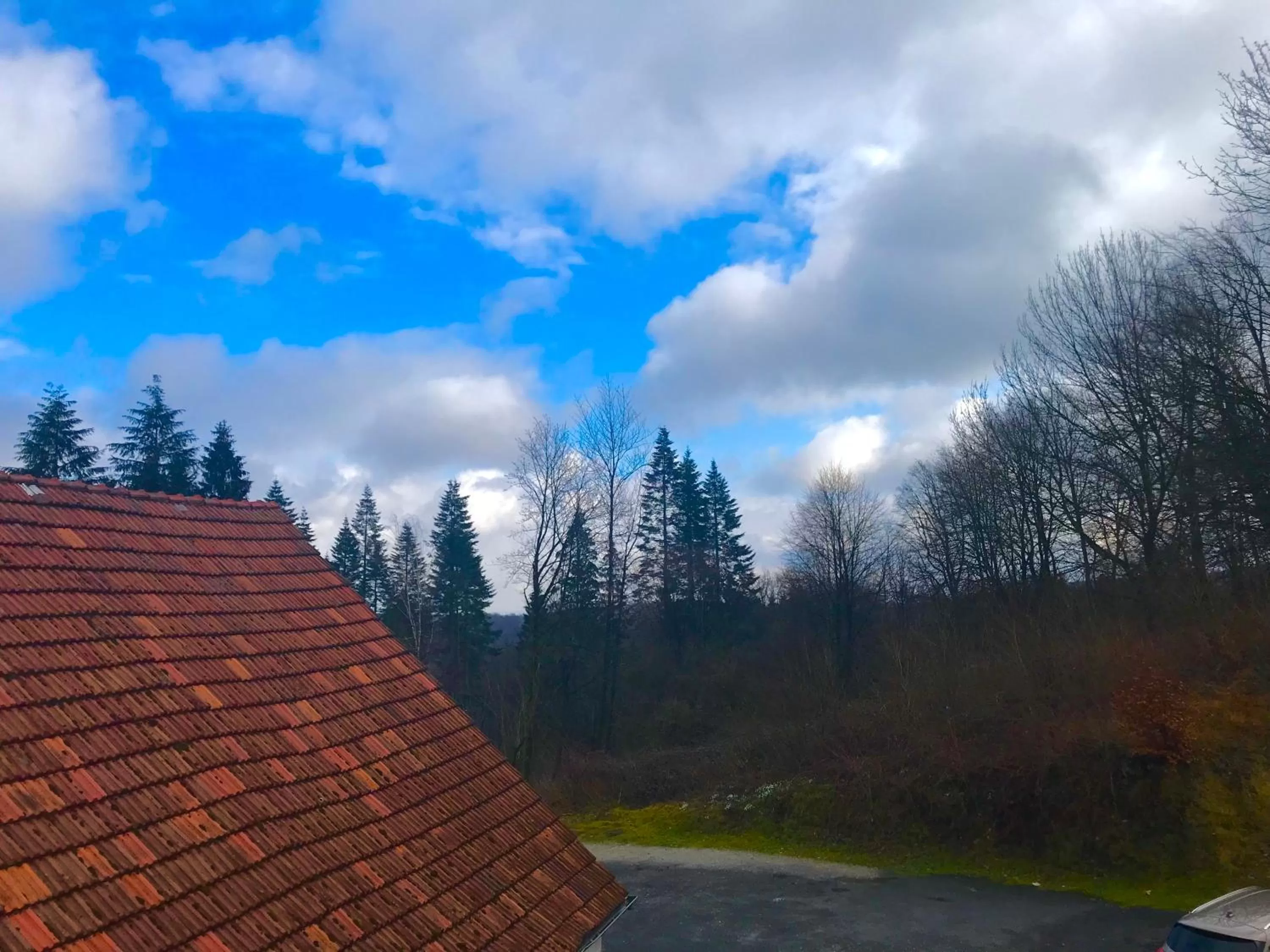 Waldhotel "Peter aufm Berge"