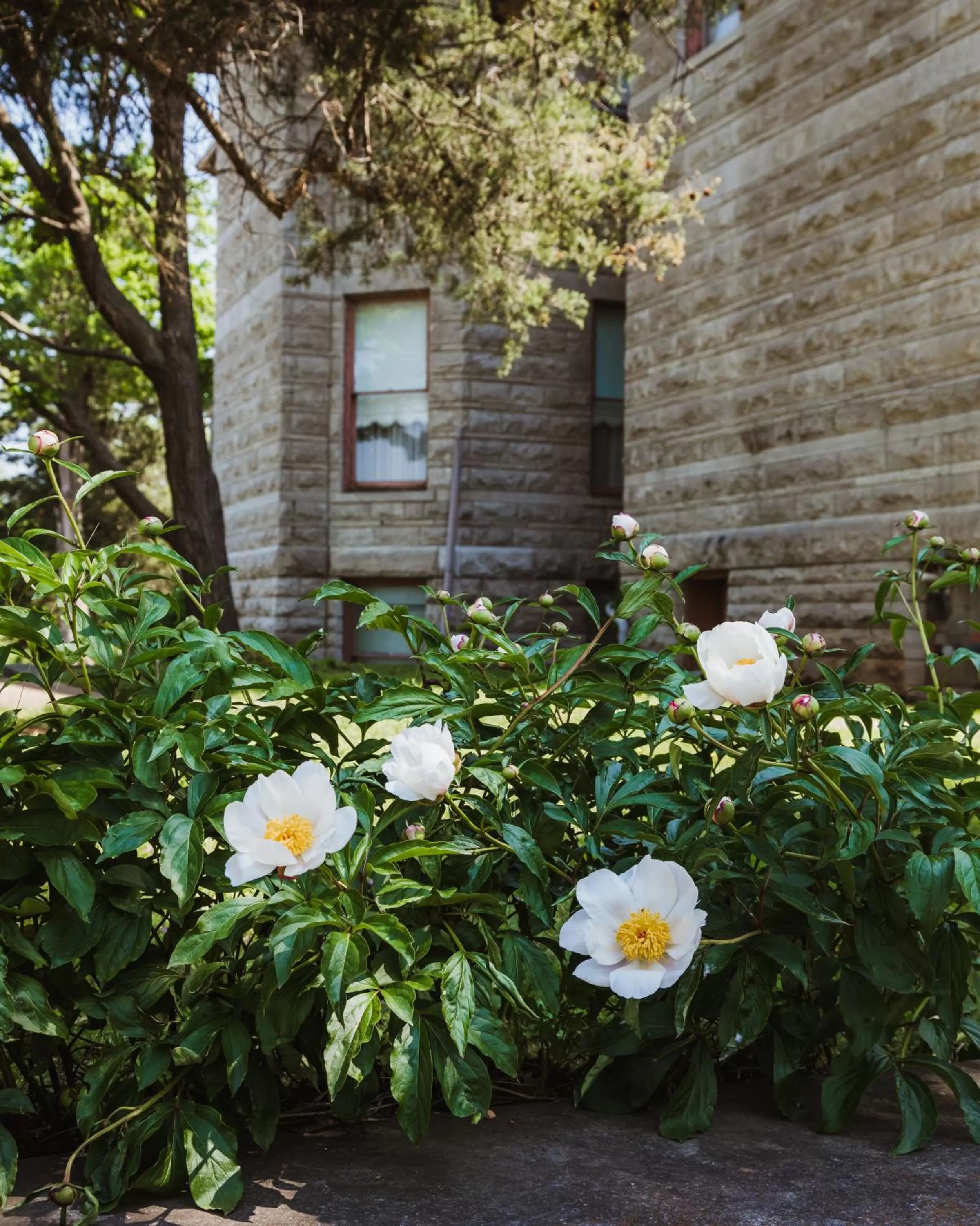 Garden view in The Mansion at Elfindale