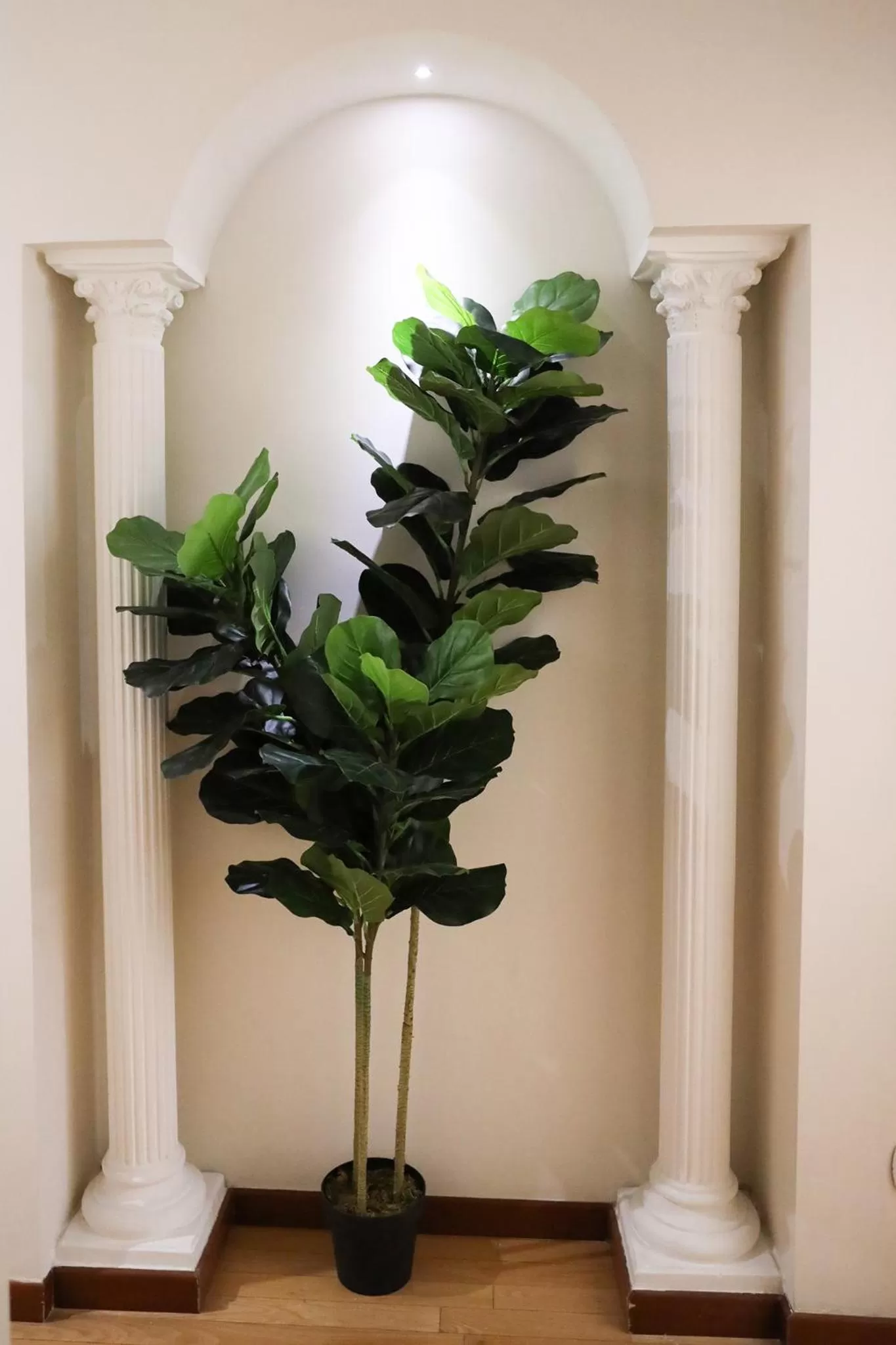 B&B Dimora di Campagna "alle falde del Vesuvio"