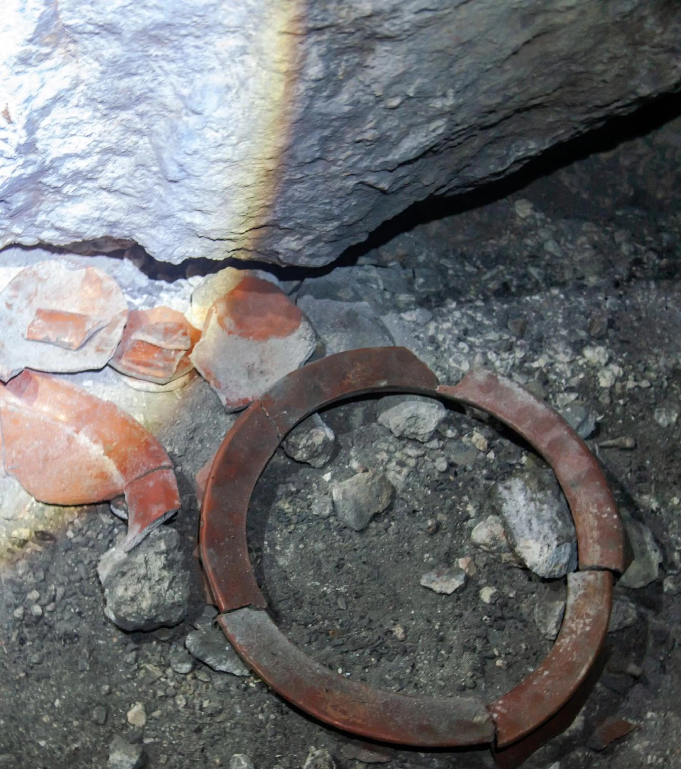 Activities in Sleeping Giant Rainforest Lodge