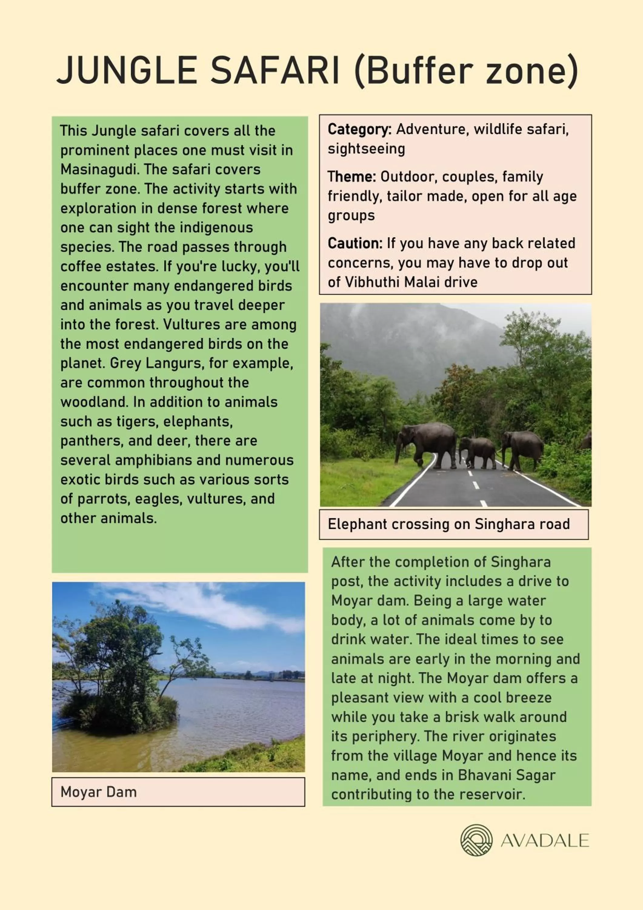 Activities in Avadale Masinagudi - Stag Groups Not Allowed