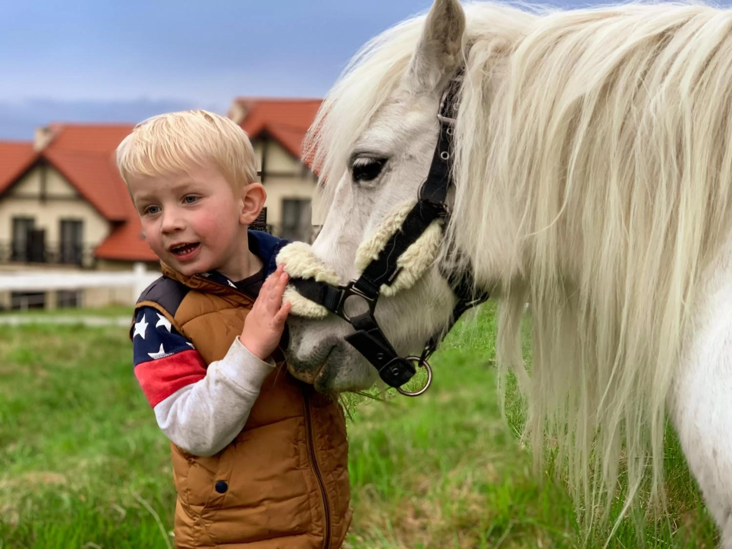 Animals, Children in Hotel Santa Monica