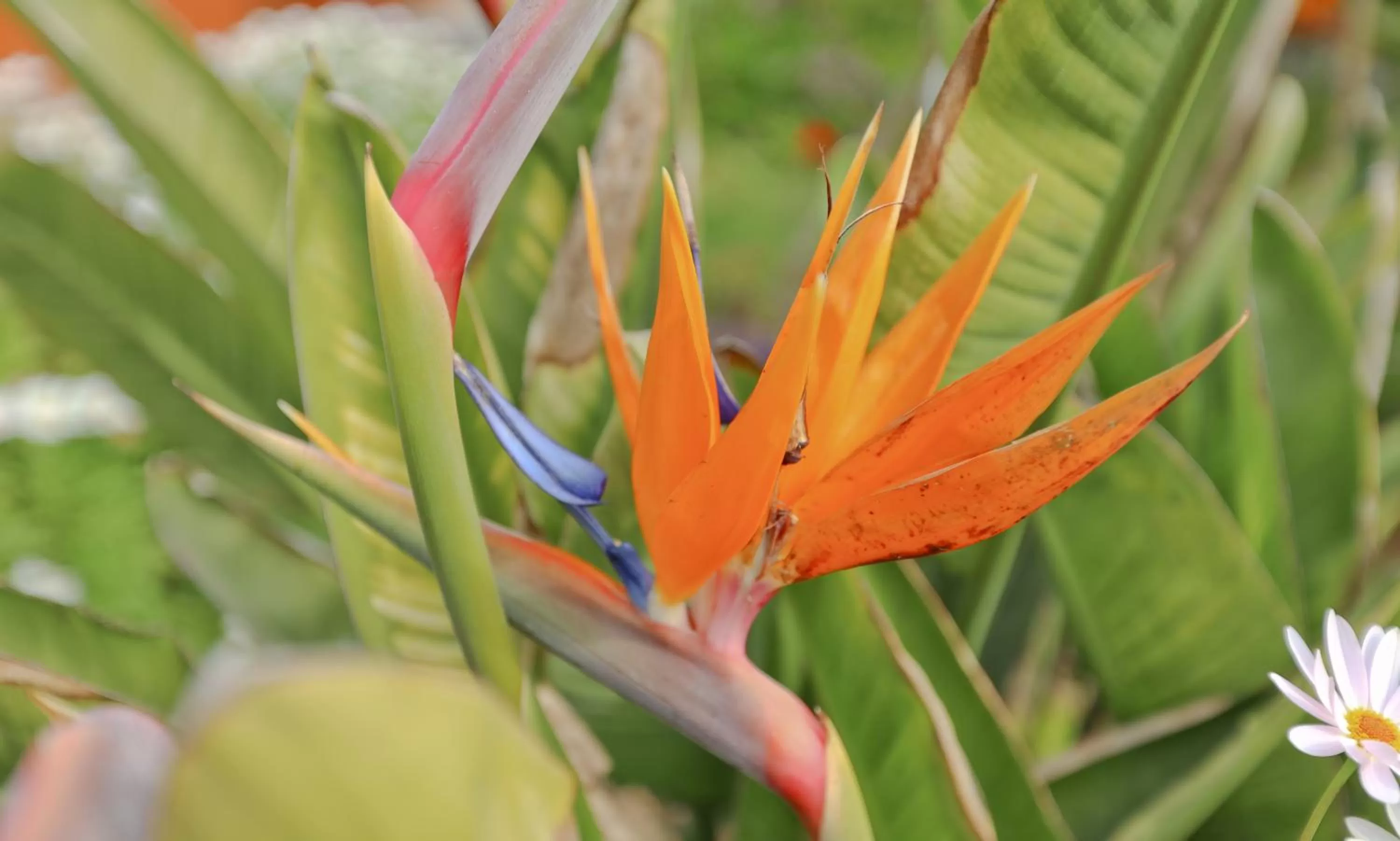 Garden in Hotel Prinzessin Rupprecht