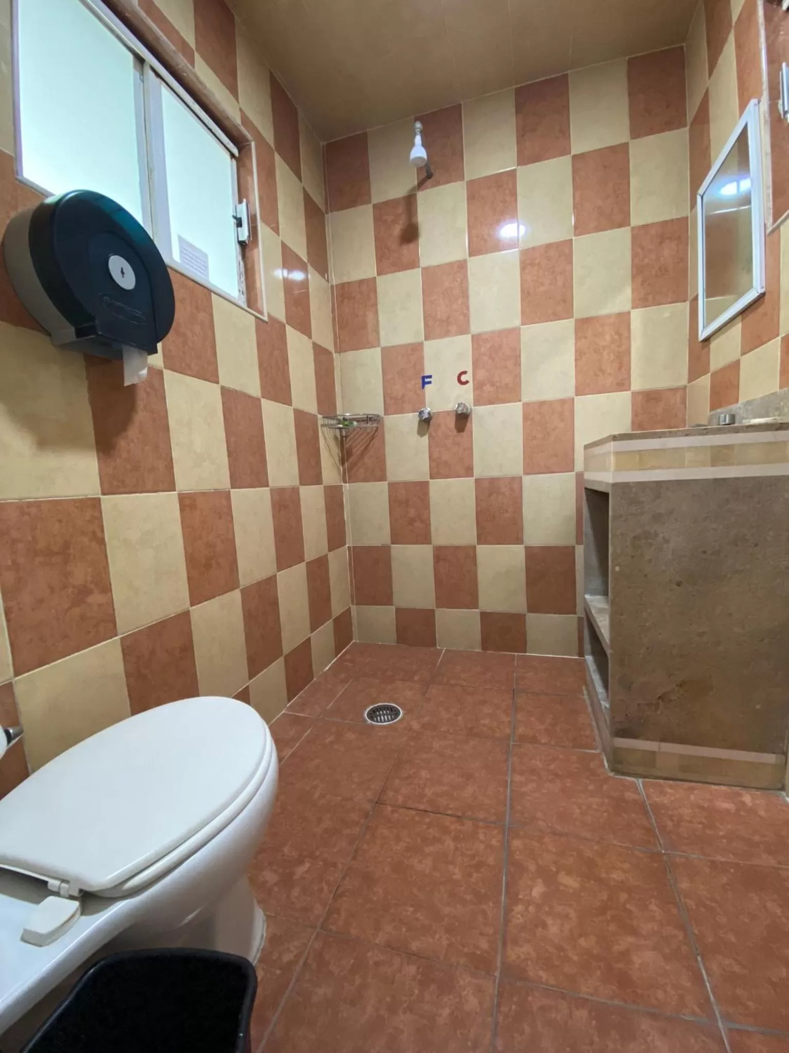 Shower in Hotel Royal Puebla