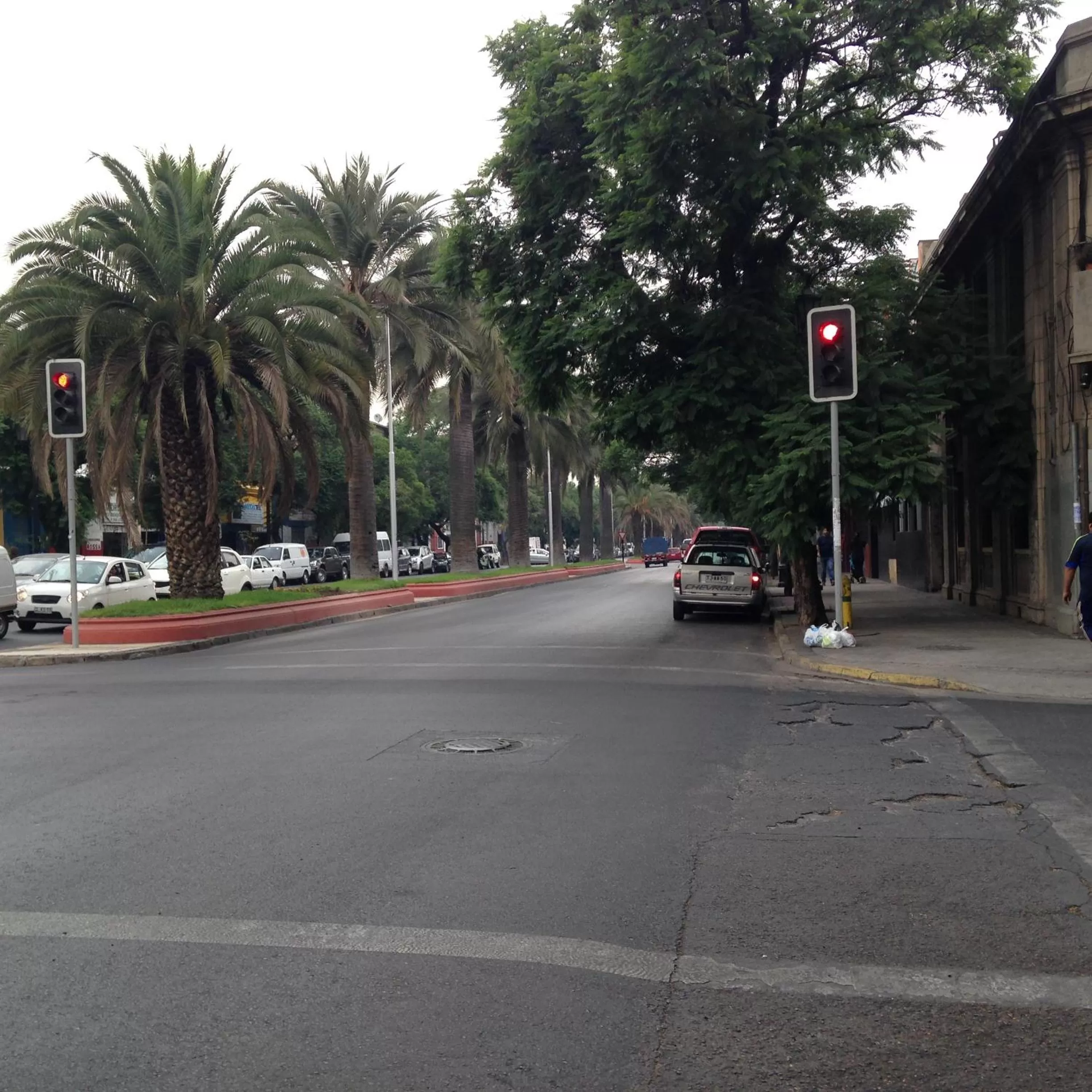 Area and facilities in Hotel La Castellana