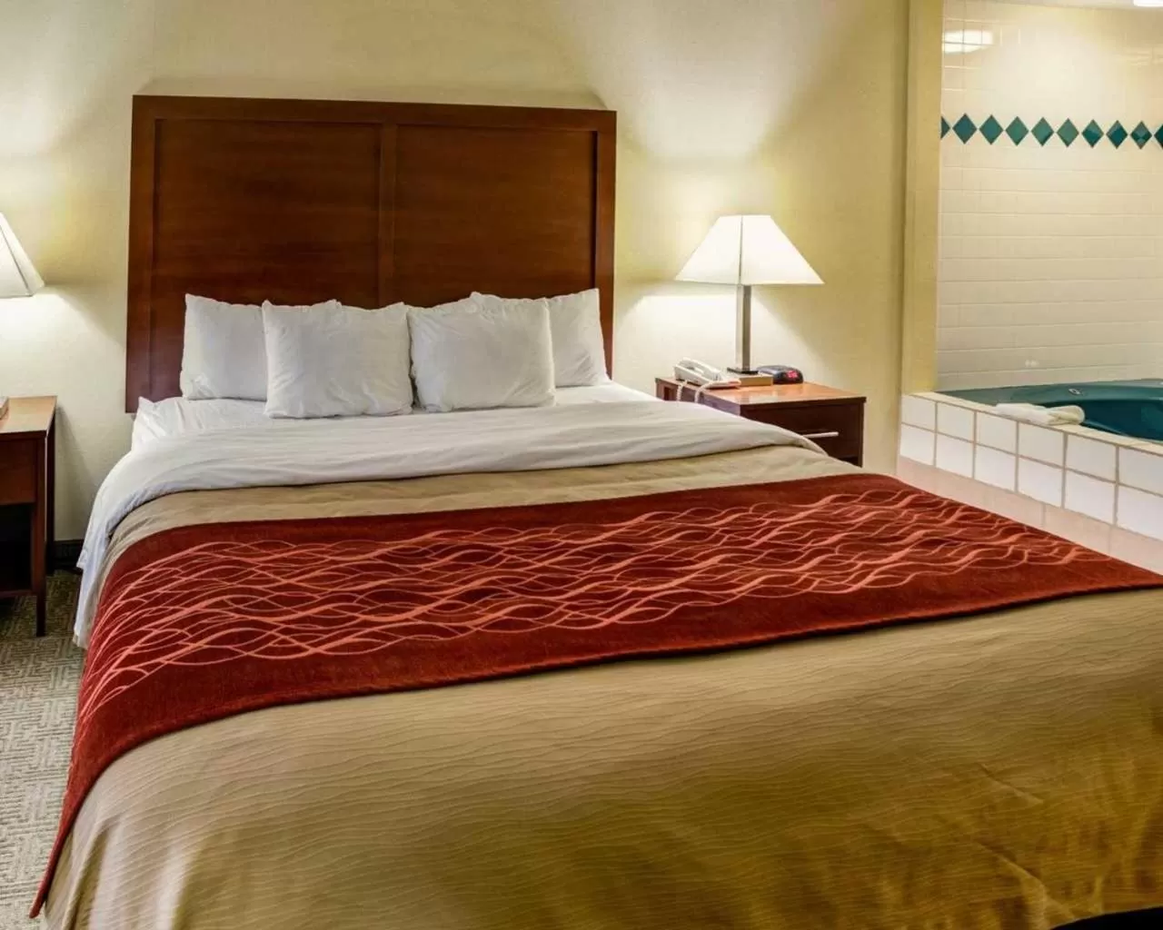 Bed in Comfort Inn Lexington I-75