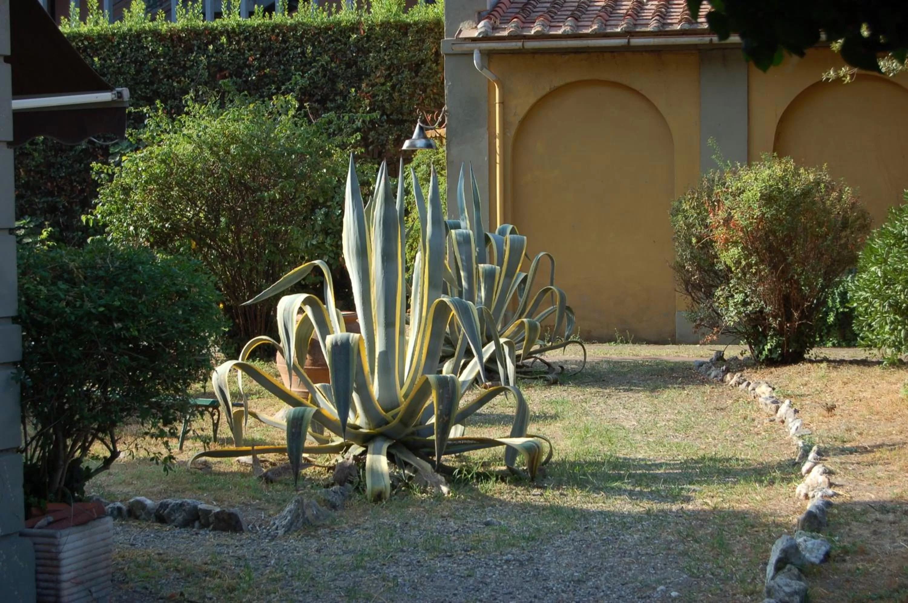 Garden in B&B Antica Piazza dei Miracoli