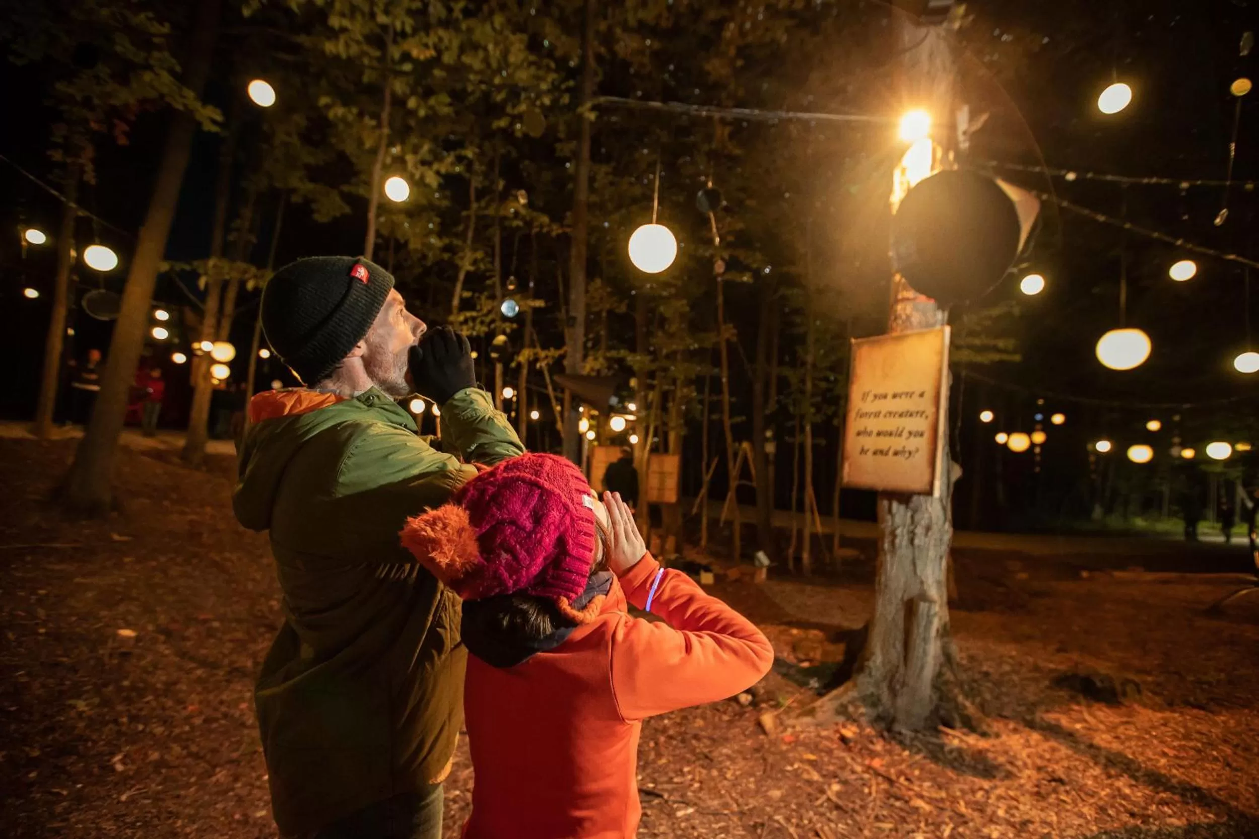 Night in Blue Mountain Resort Home Collection