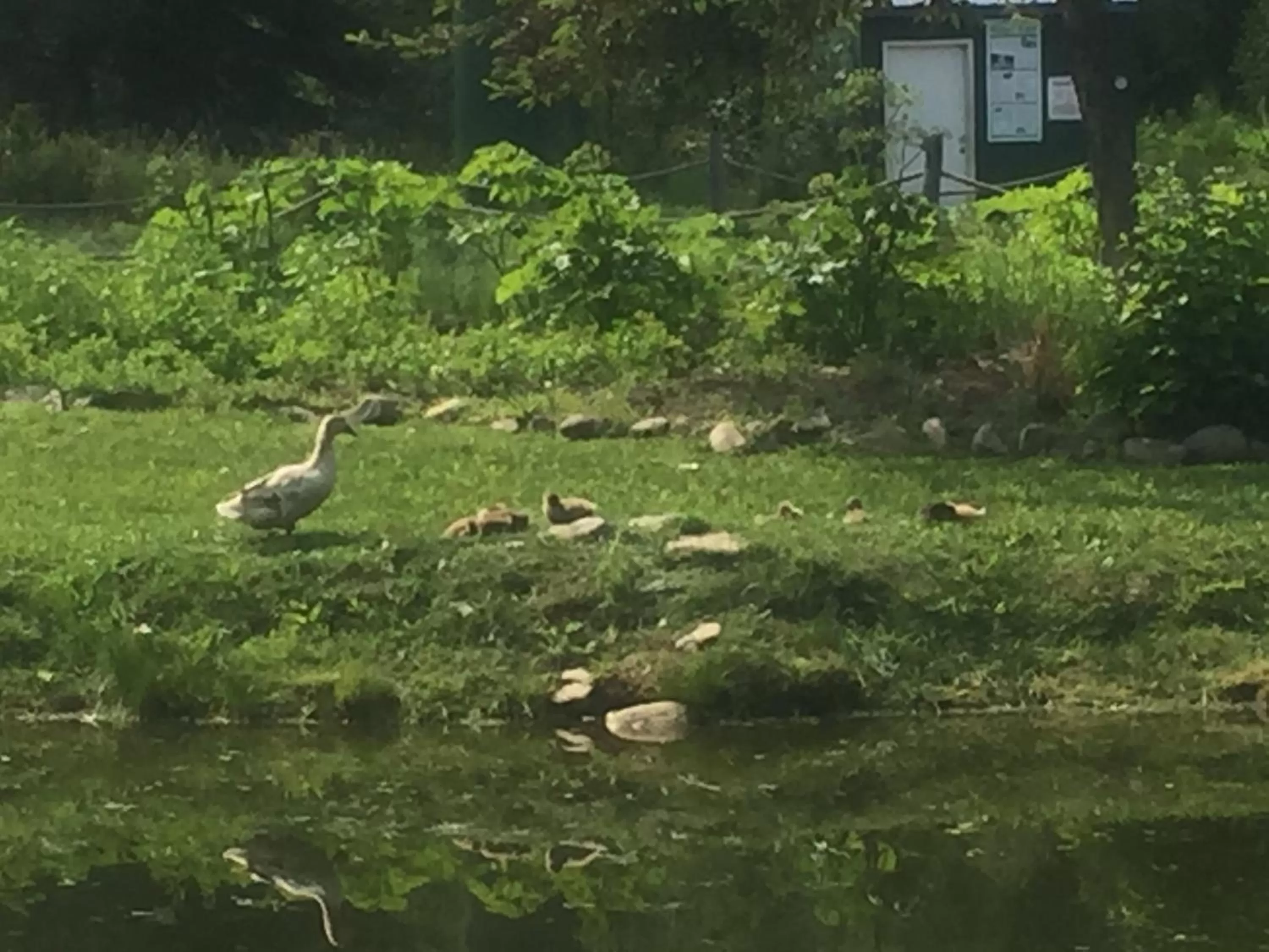 Property building in Chena Hot Springs Resort