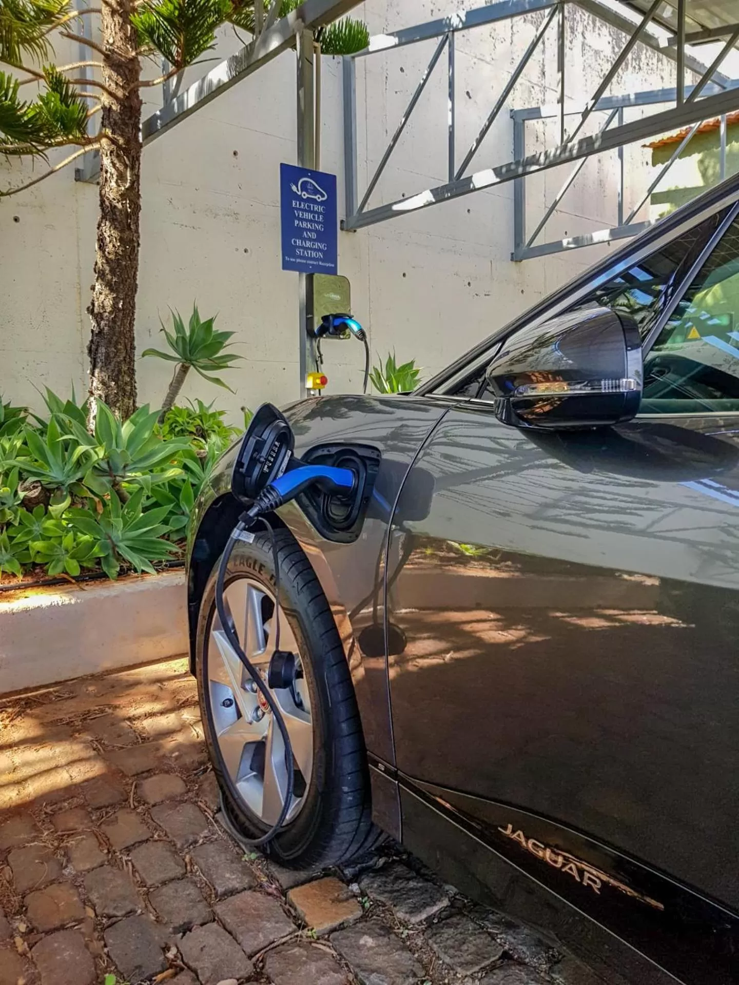 Other in Albatroz Beach & Yacht Club