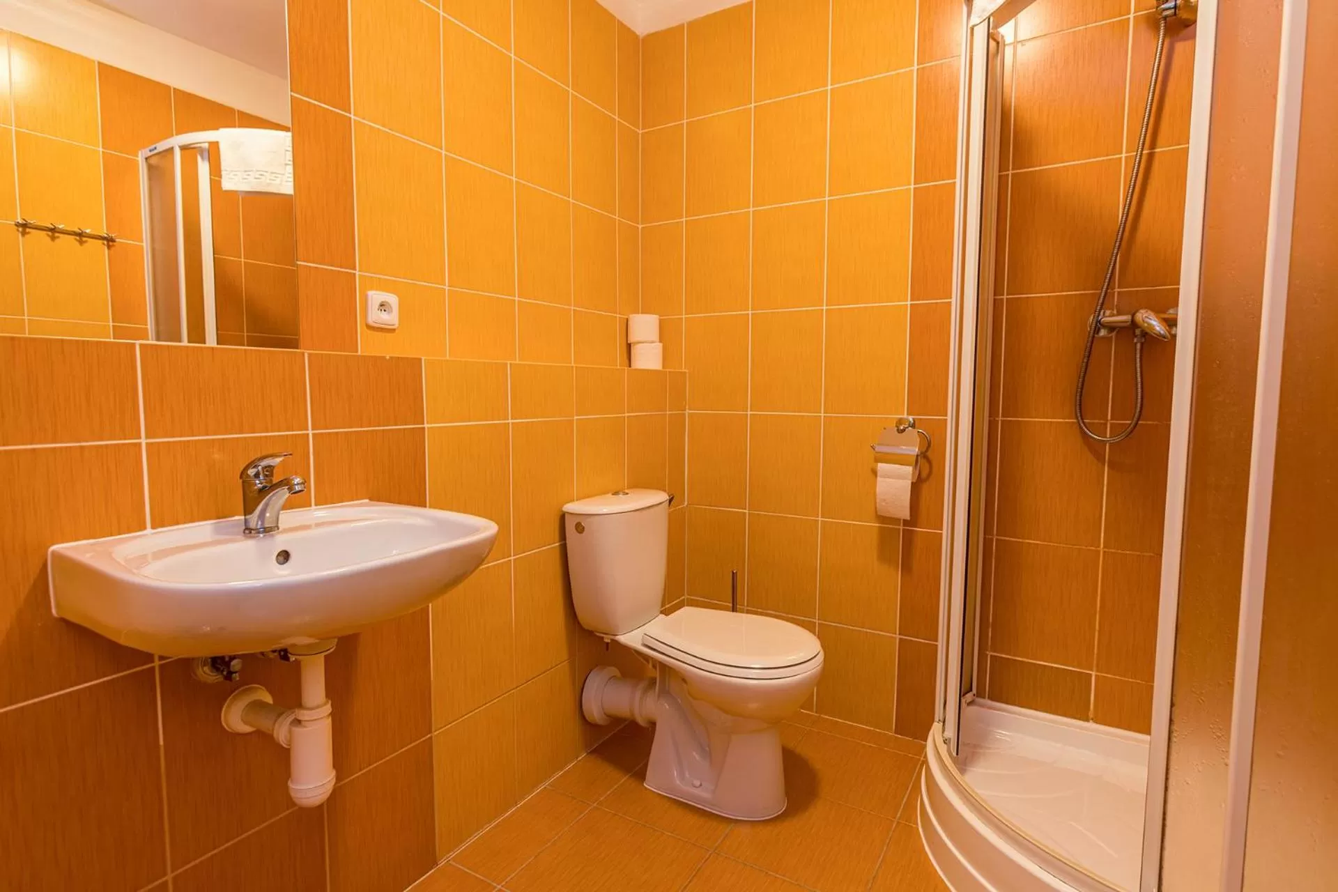 Bathroom in Hotel Seifert