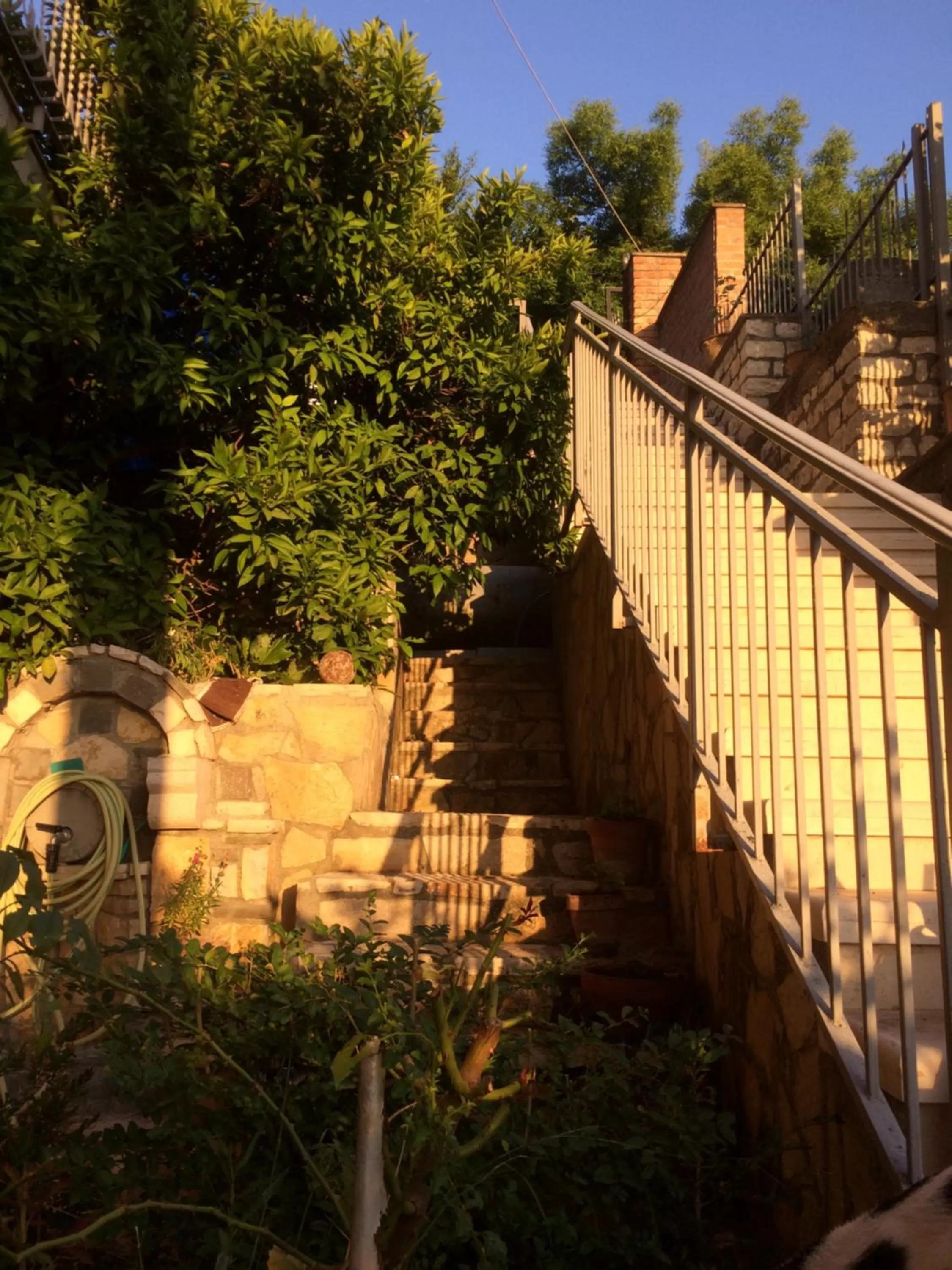 Patio in Guesthouse Villa Rosa Berat