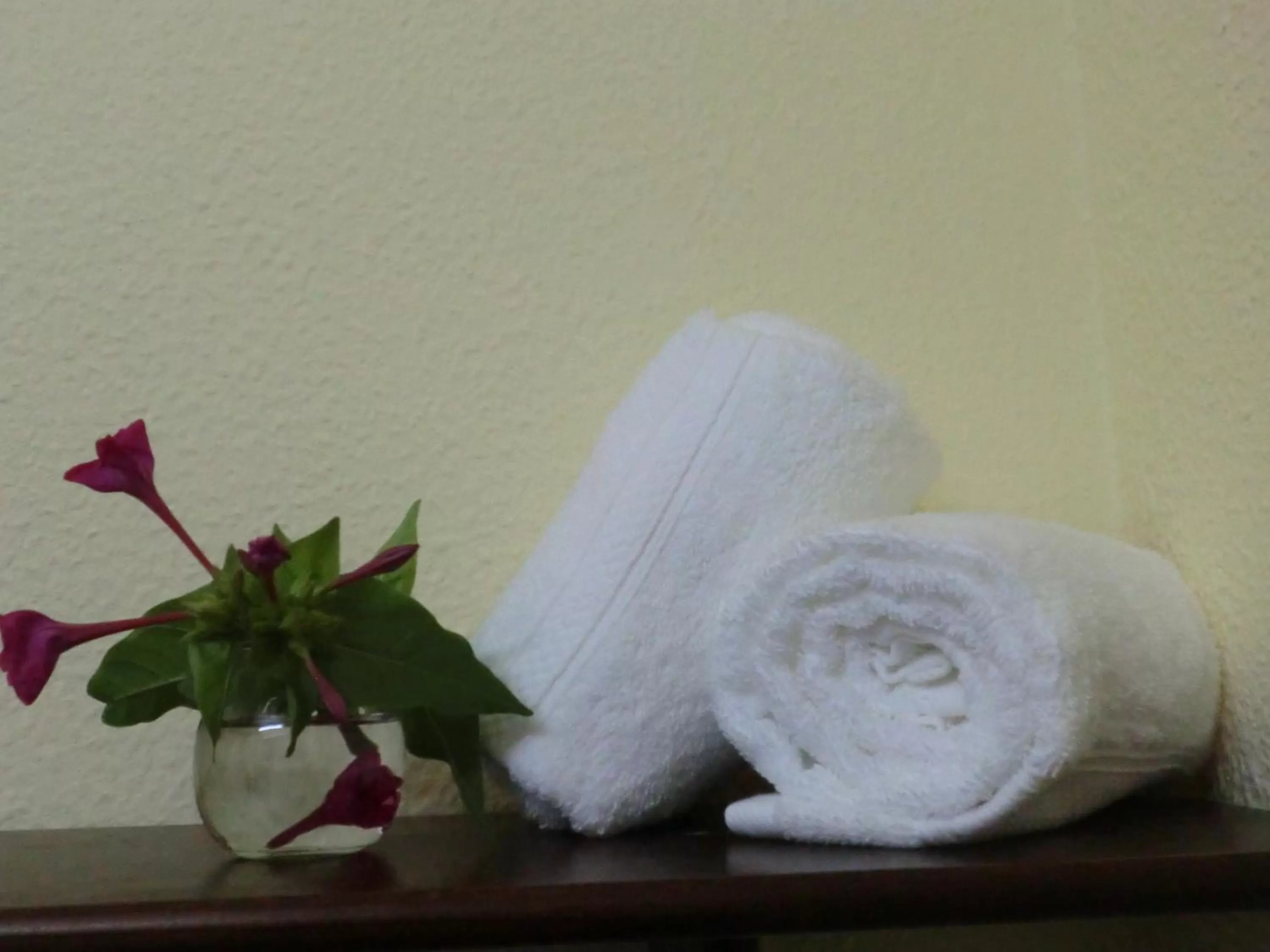 Other in Varandas de Alter Hotel & SPA