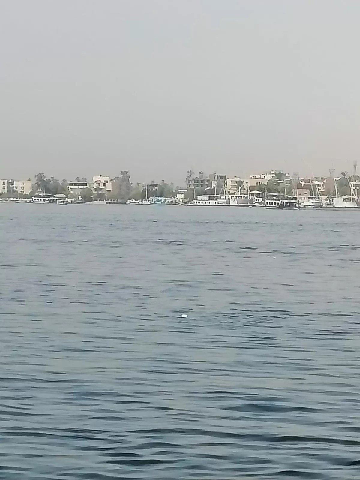 Windsor Hotel Luxor 中國人之家