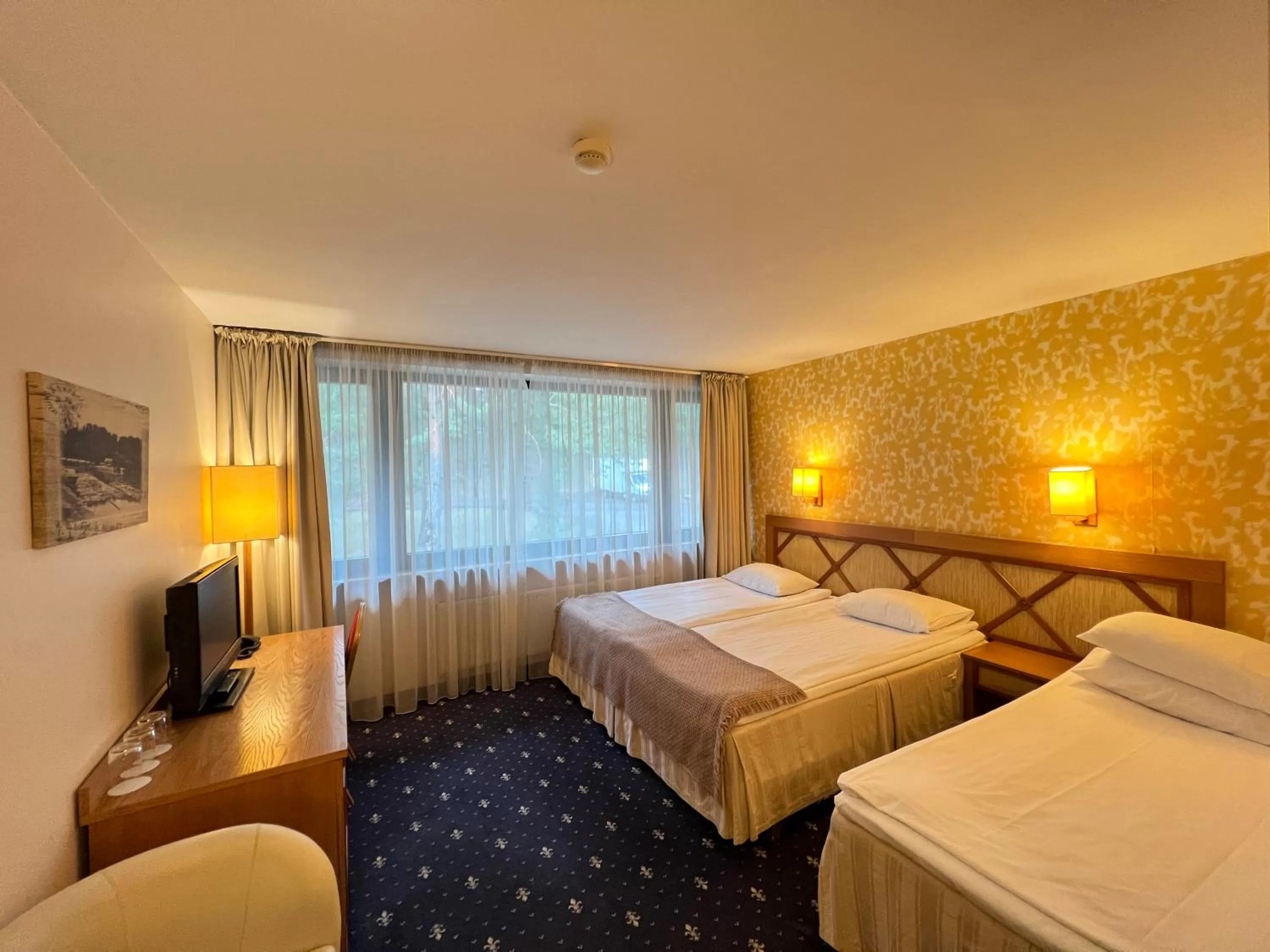 Communal lounge/ TV room, Bed in Park Villa Hotel