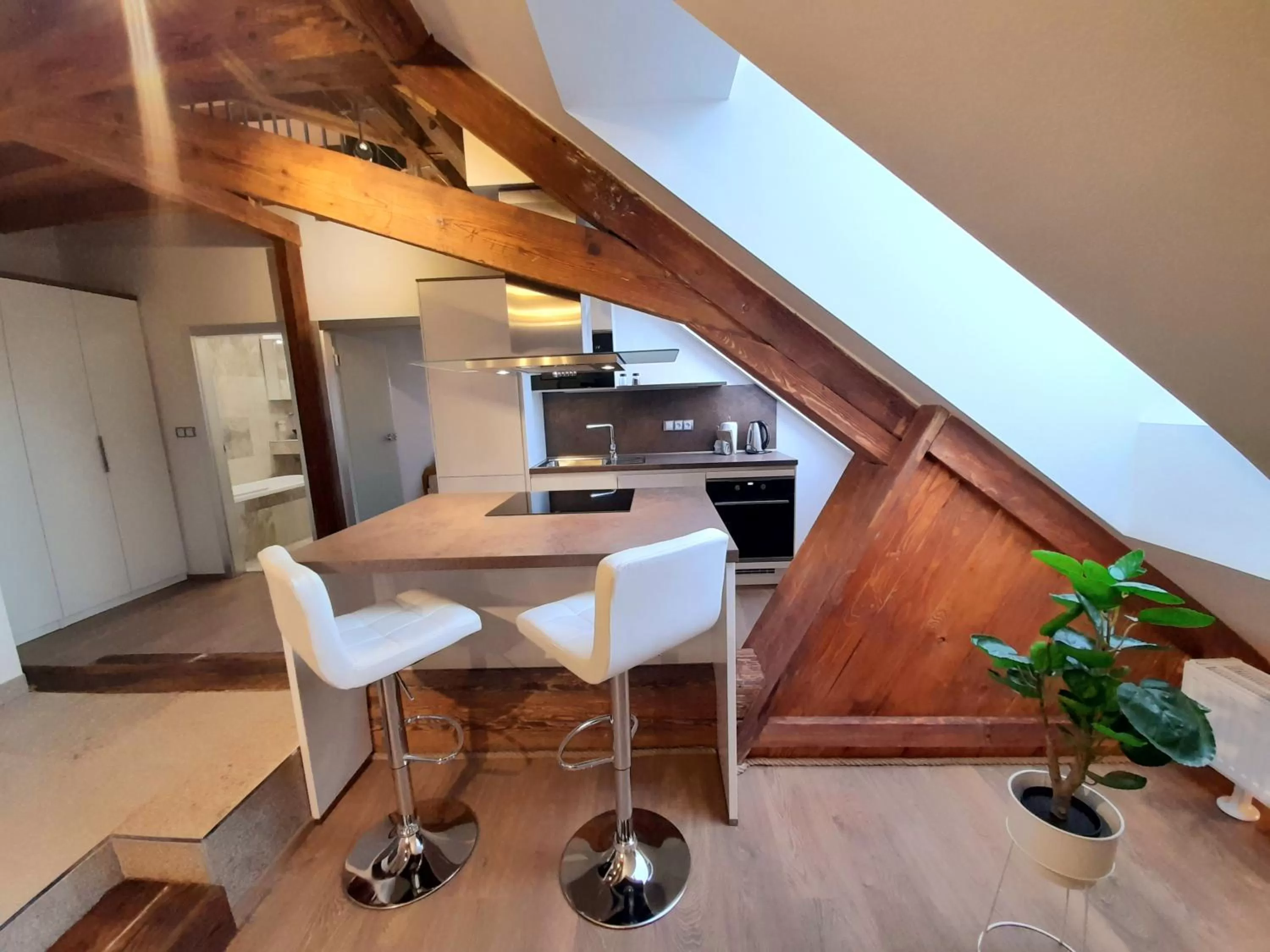 Kitchen or kitchenette, Kitchen/Kitchenette in Residence Mariánská