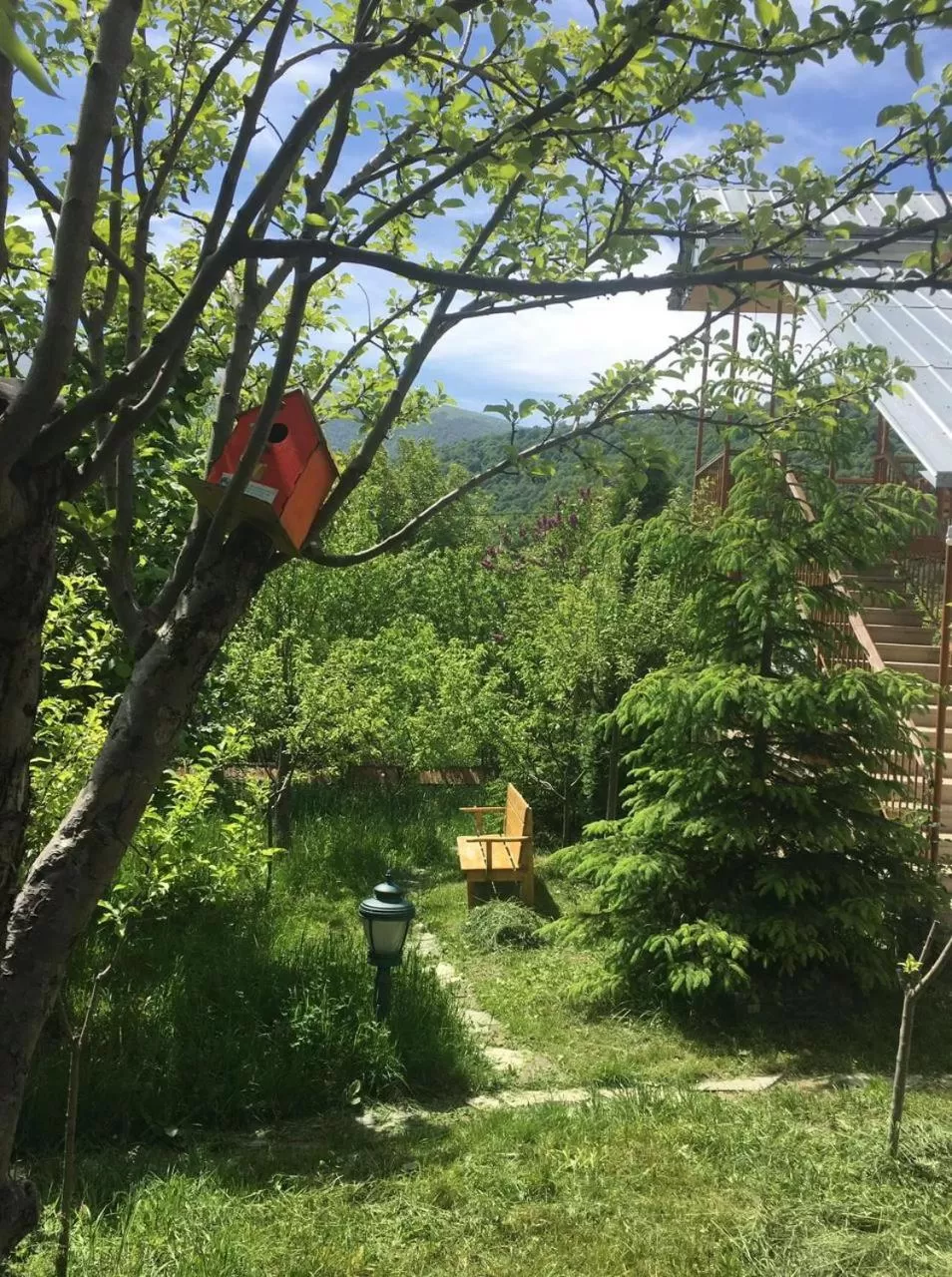 Garden in Dil Hill by Sam