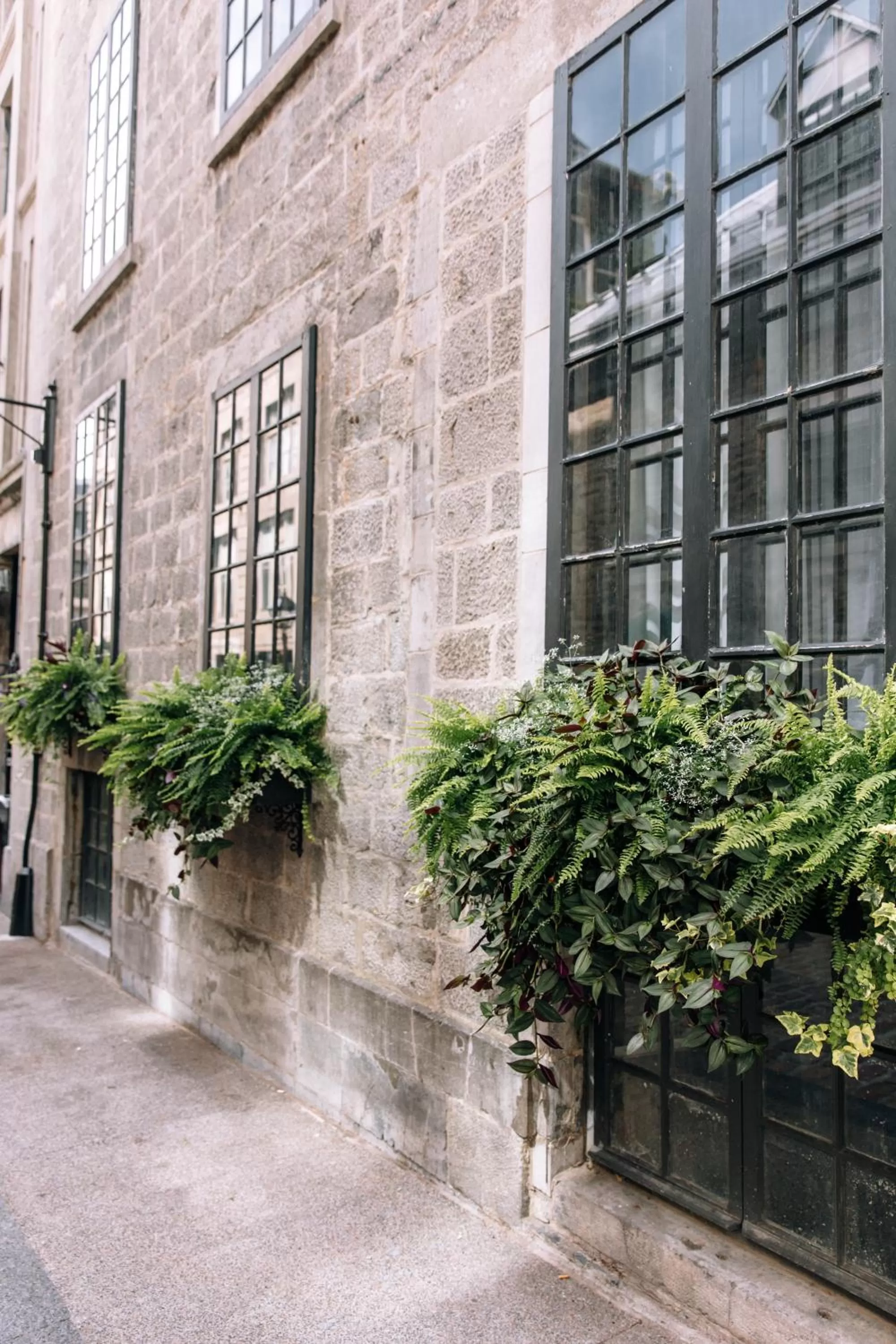 Property building in Maison Sainte-Thérèse By Maisons & co