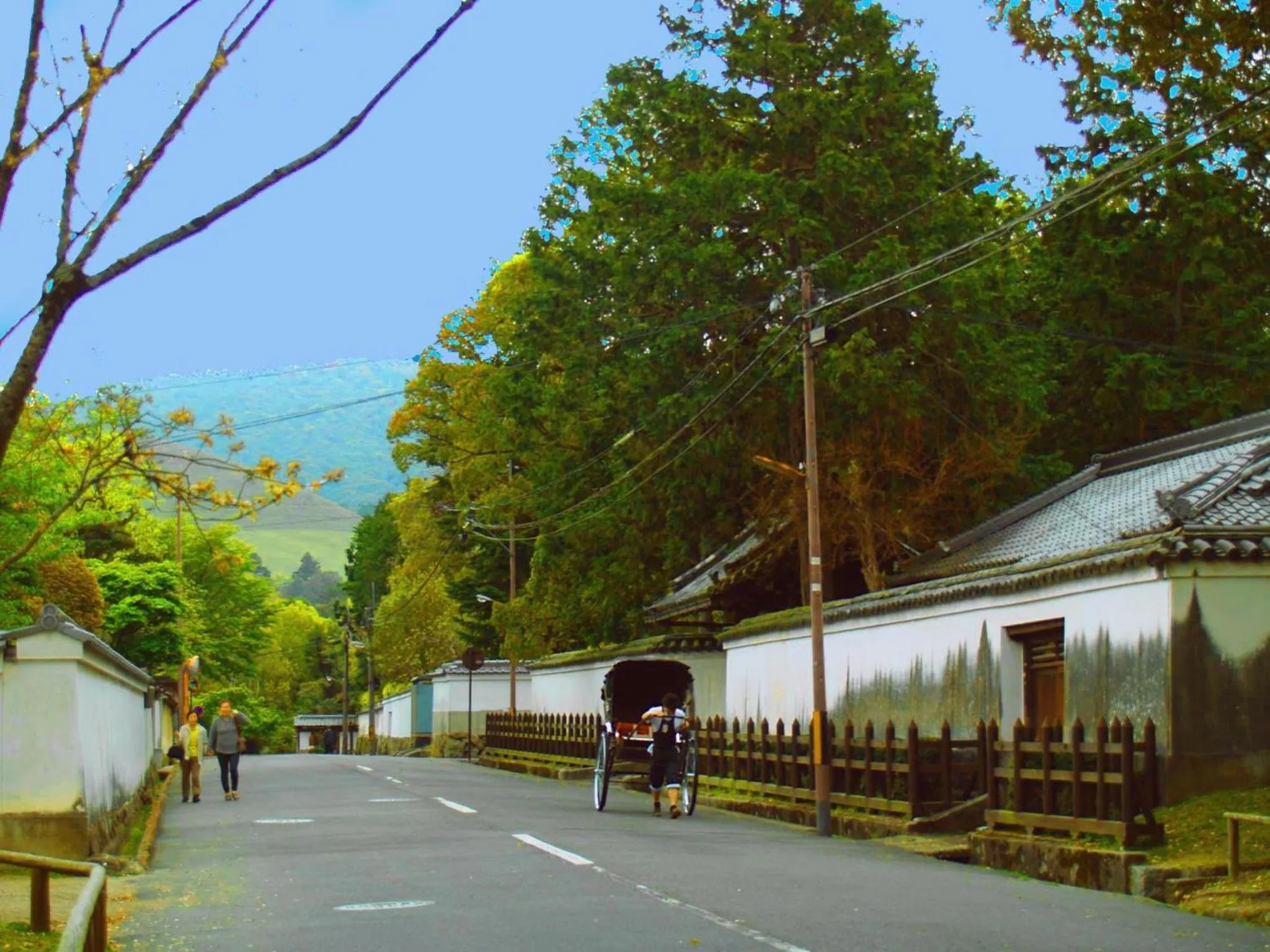 Seasons in Guesthouse Nara Komachi