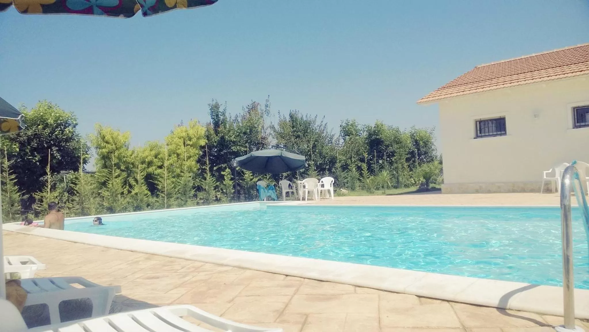 Pool view in B&B Posta Piana