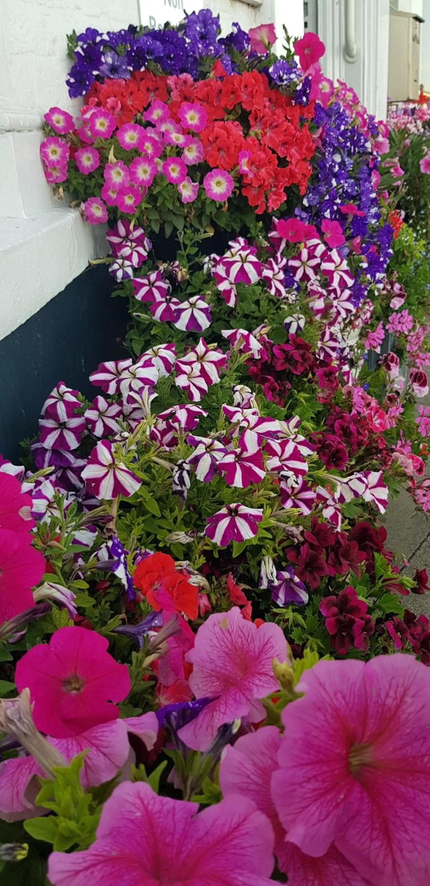 Decorative detail in Waterfront Hotel