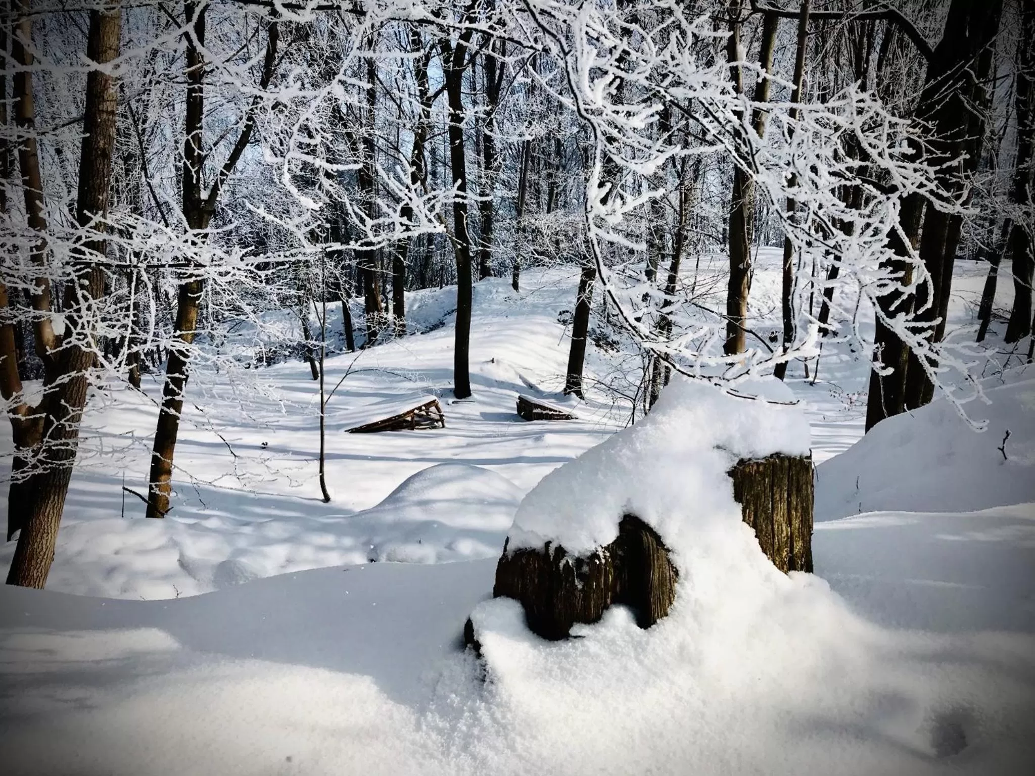 HARABURDI® Recyclart Hotel