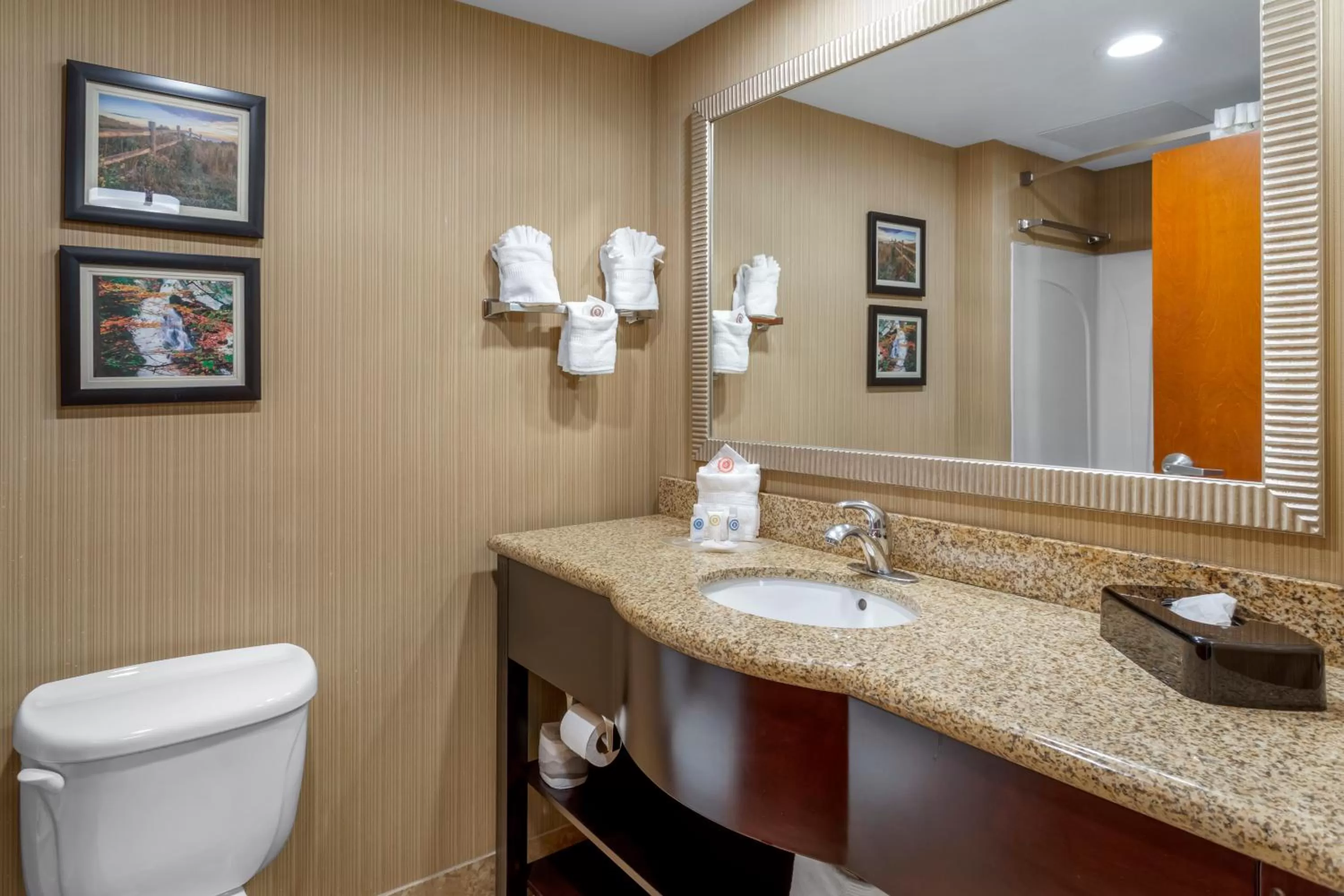 Bathroom in Comfort Suites Knoxville North
