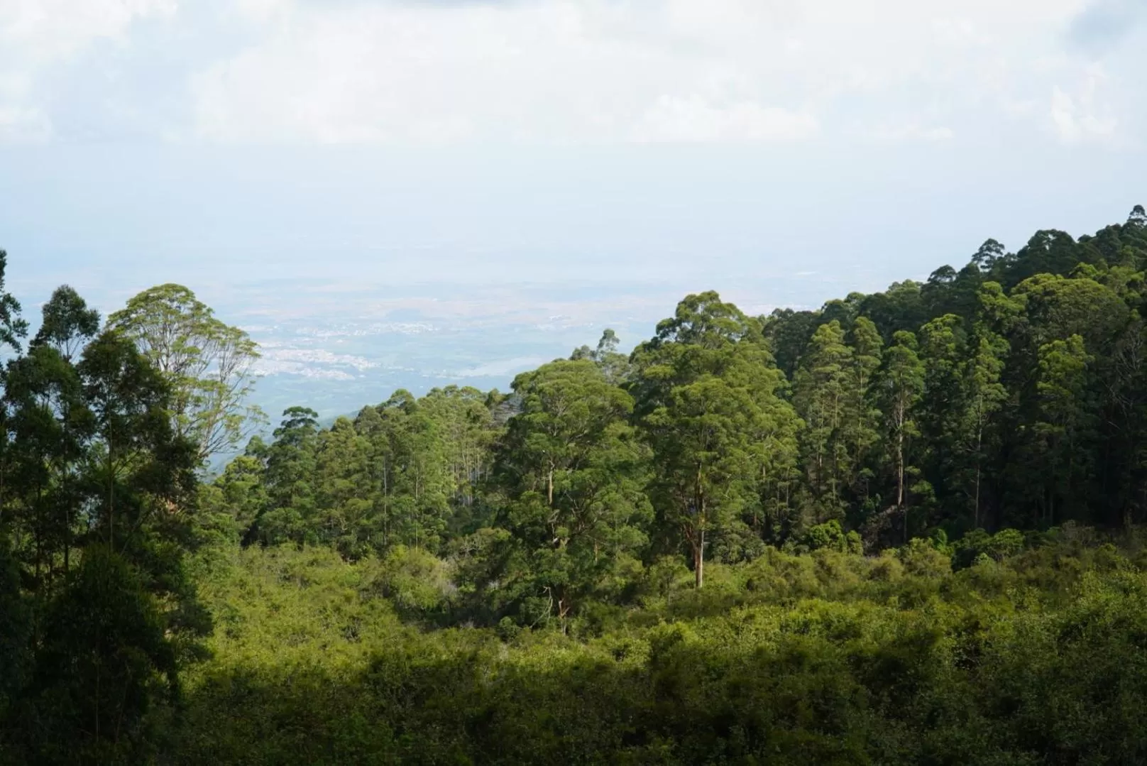 Mountain view in Cloud Walk