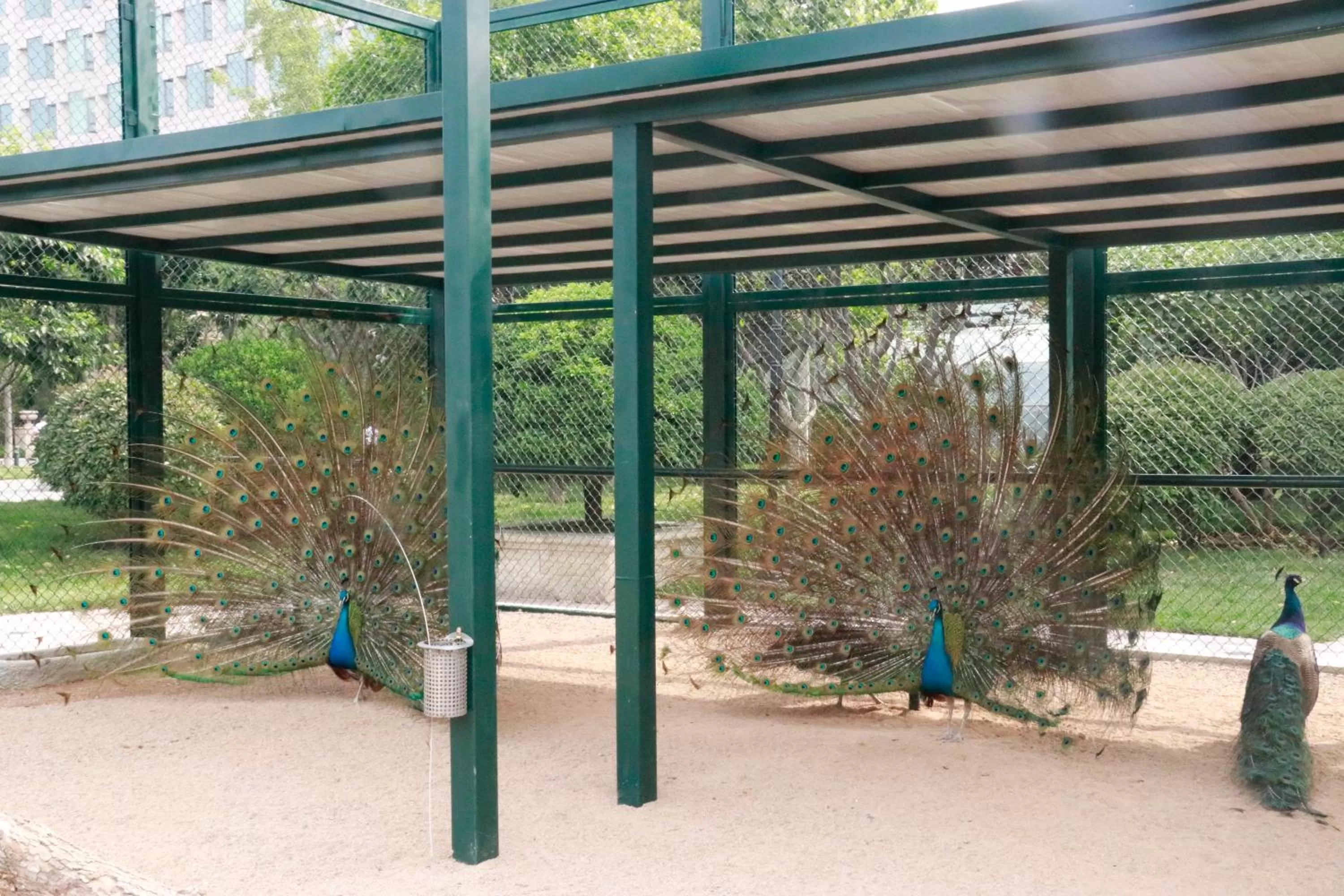 Day in Wyndham Qingdao l Free Fixed-Time Shuttle Service Between Hotel and Airport & North Railway Station l Outdoor Children's Amusement Park l 1-Hour Play Snooker or Table Tennis