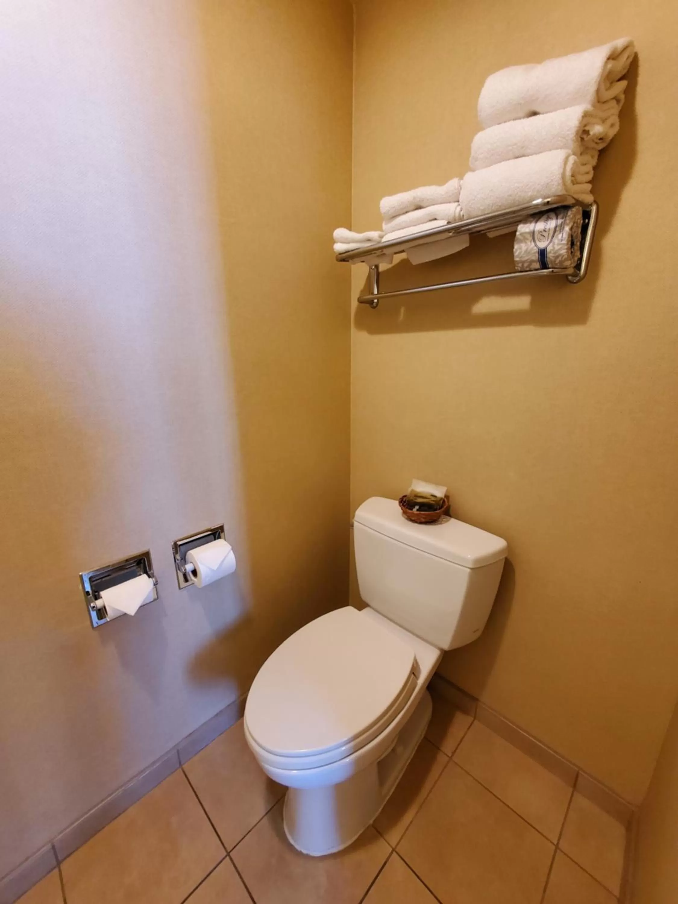 Toilet in Royal Pacific Motor Inn