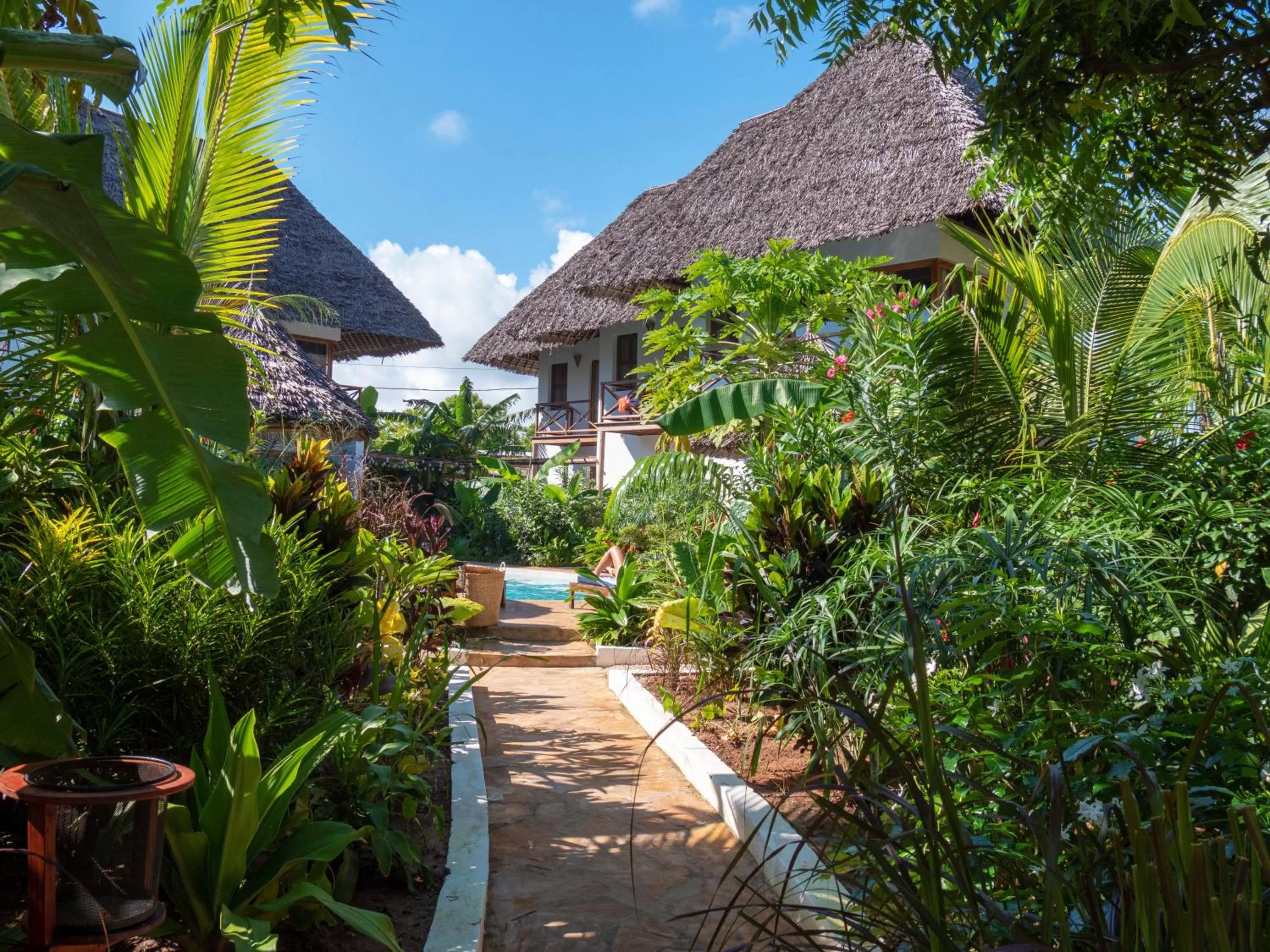 Garden, Property Building in Aluna Nungwi