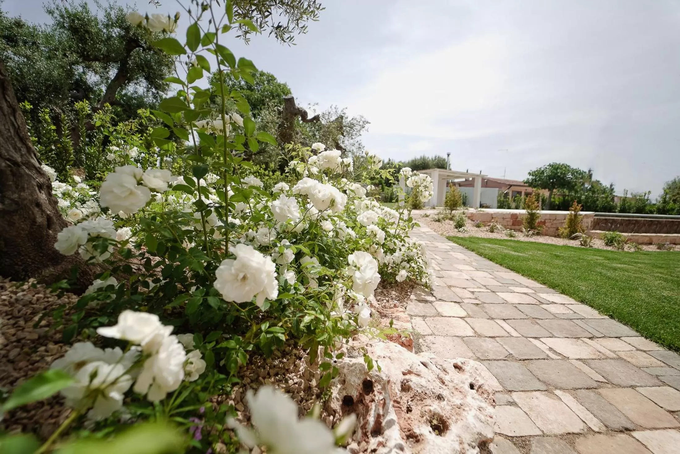 Garden in ALMASOL - Charme Experience